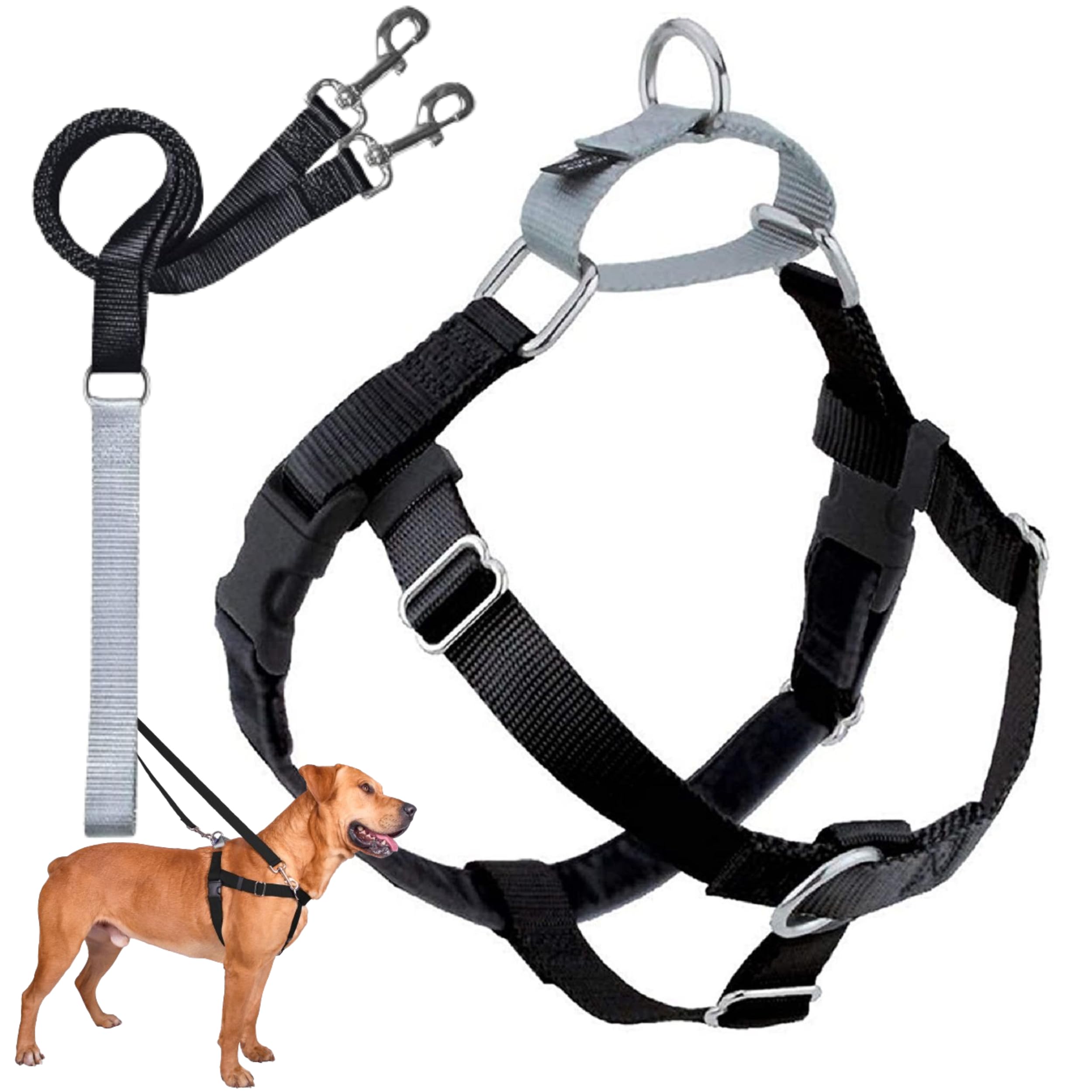 2 Hounds Design Freedom No Pull Dog Harness, Adjustable Harness And Leash Set, Easy Walking & Comfortable Control, Fits Small, Medium & Large Dogs, Solid Colors, Made In Usa, 1' Lg, Black