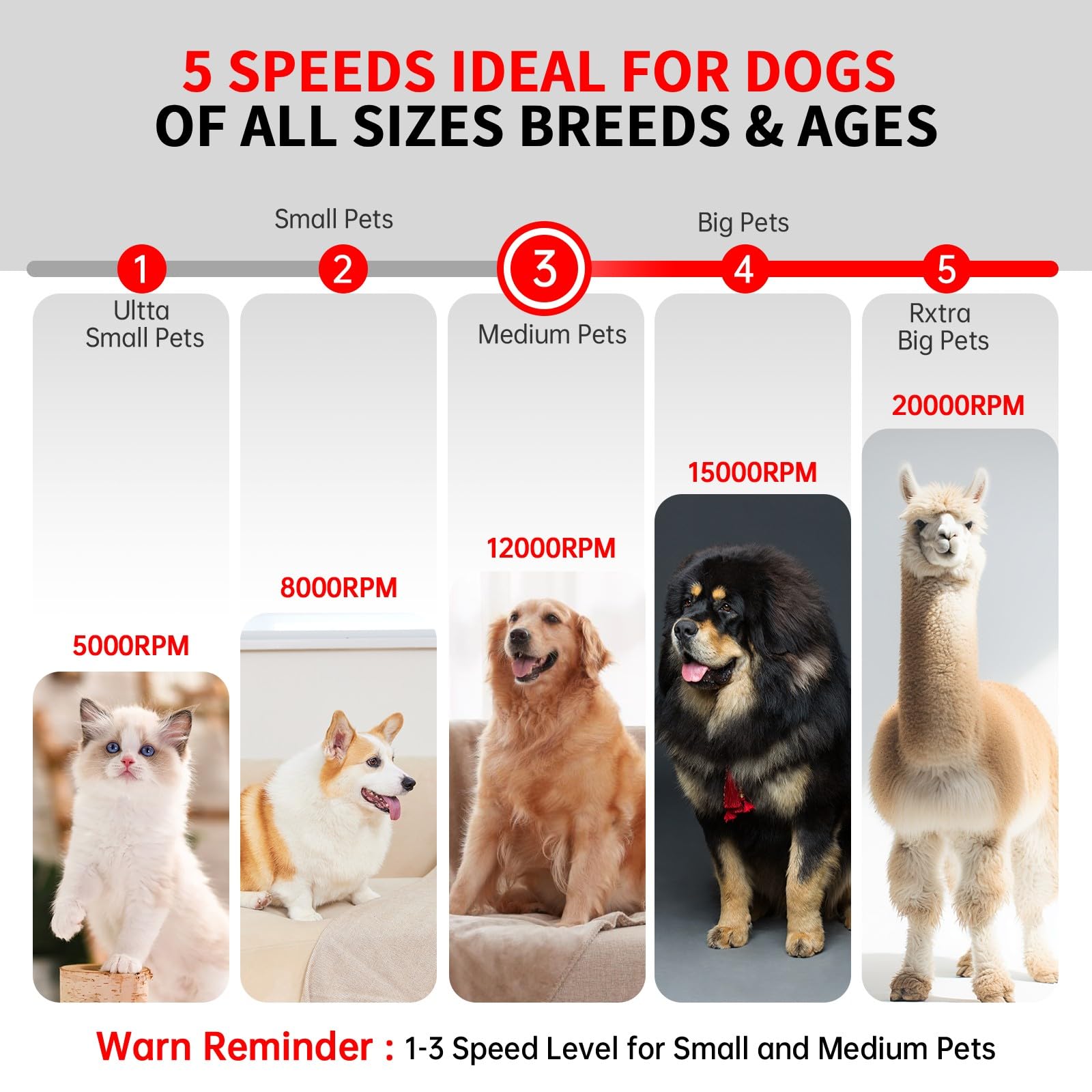 Dog Nail Grinder - Rechargeable Pet Nail Grinder, Electric Upgraded 5 Speed W Led Lights Cordless Dog Nail Trimmer Kit, 40 Acces