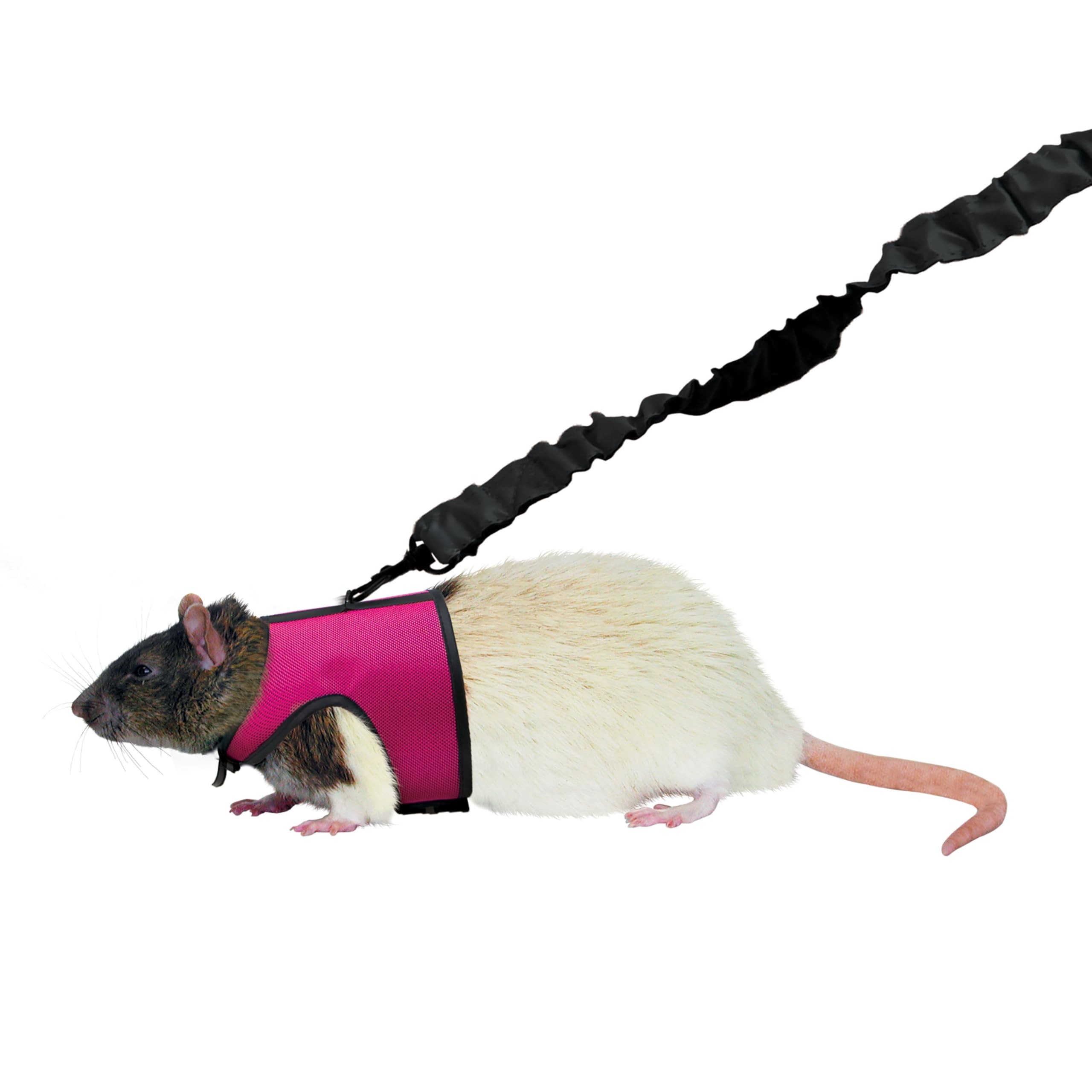 Kaytee Comfort Harness And Stretch Leash Small