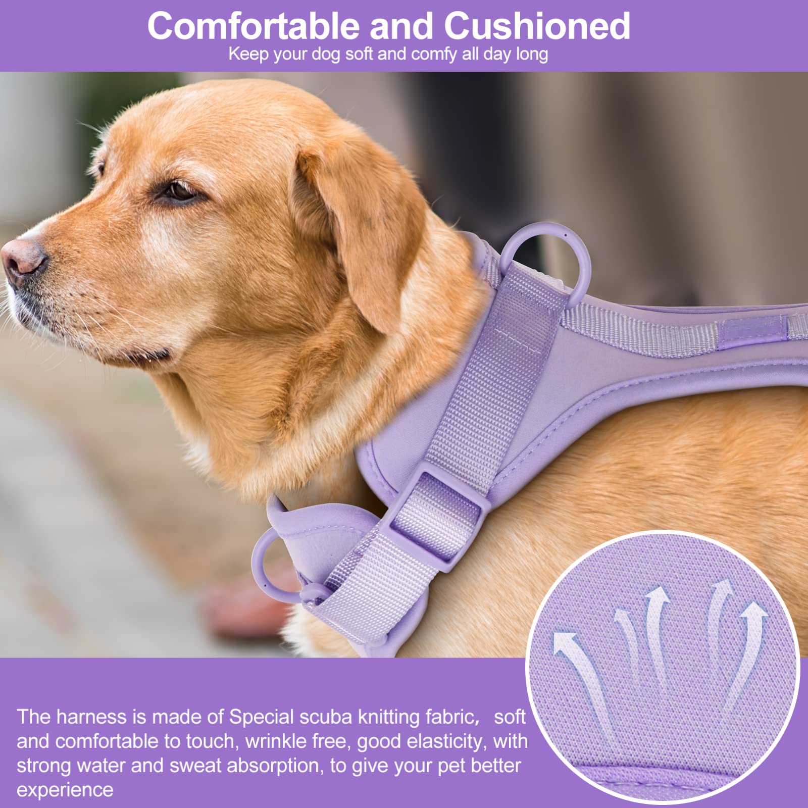 No Pull Lightweight Dog Harness: Adjustable Durable Breathable Mesh Pet Vest Harness with Soft & Comfortable Cushion, for Small