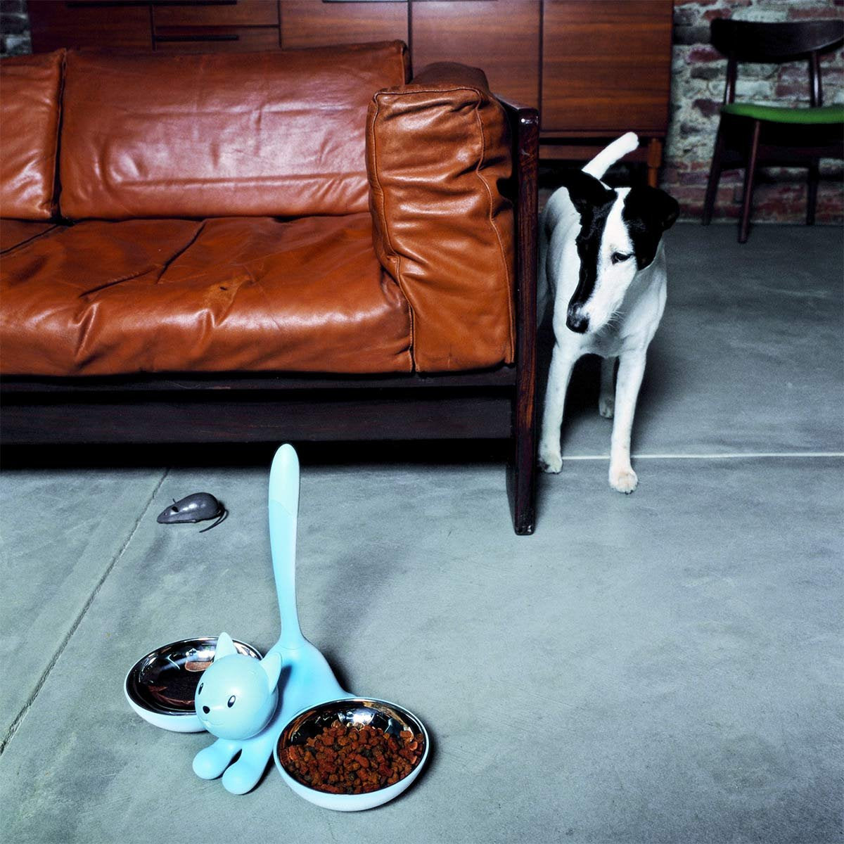 Alessi Ammi09 B Tigrito Cat Bowl, Black, Black