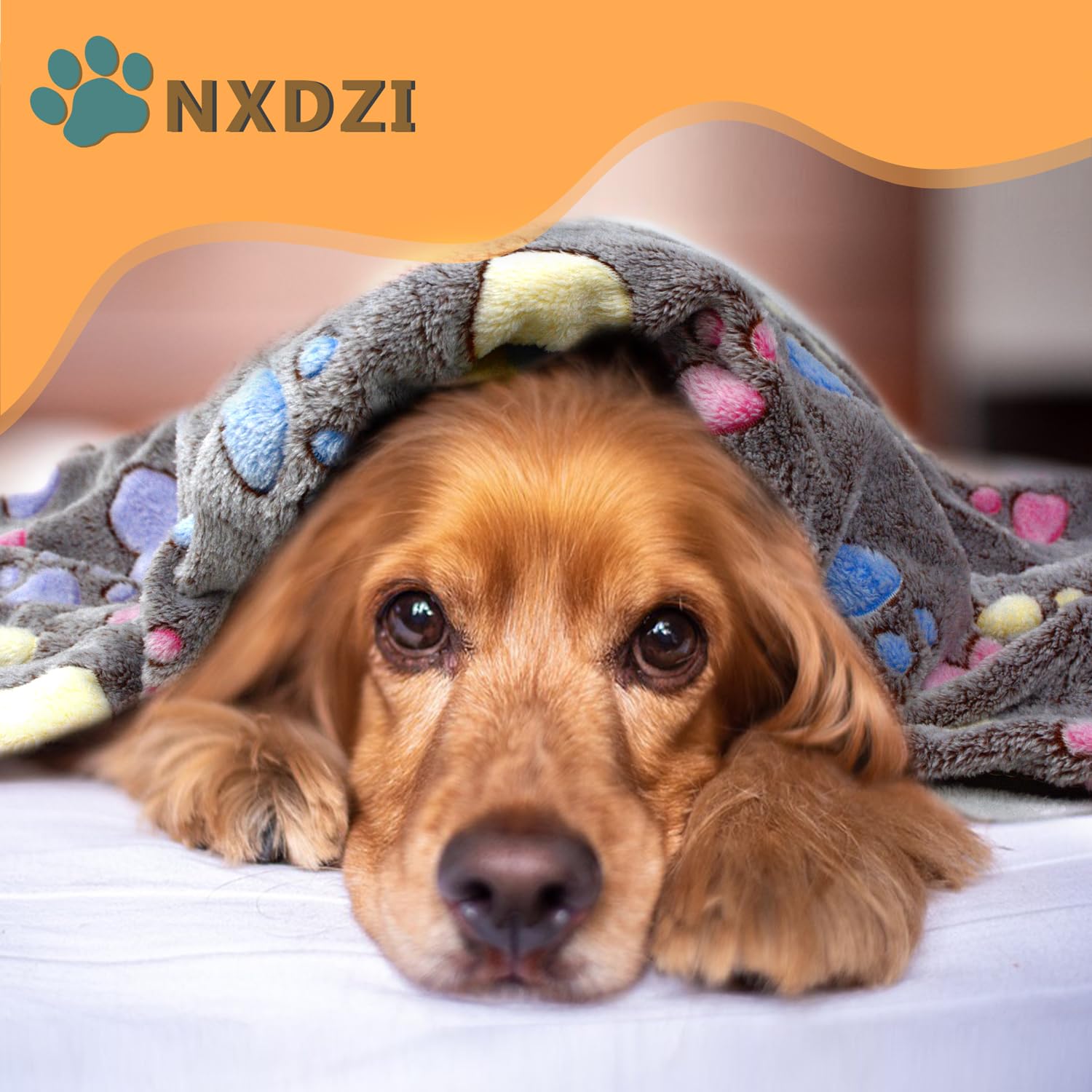 Dog Blankets Washable, 3 Pack Dog Blanket Washable 30'' X 20'', Fuzzy Soft Pet Mat Throw Cover For Kennel Crate Bed, Blankets Fo