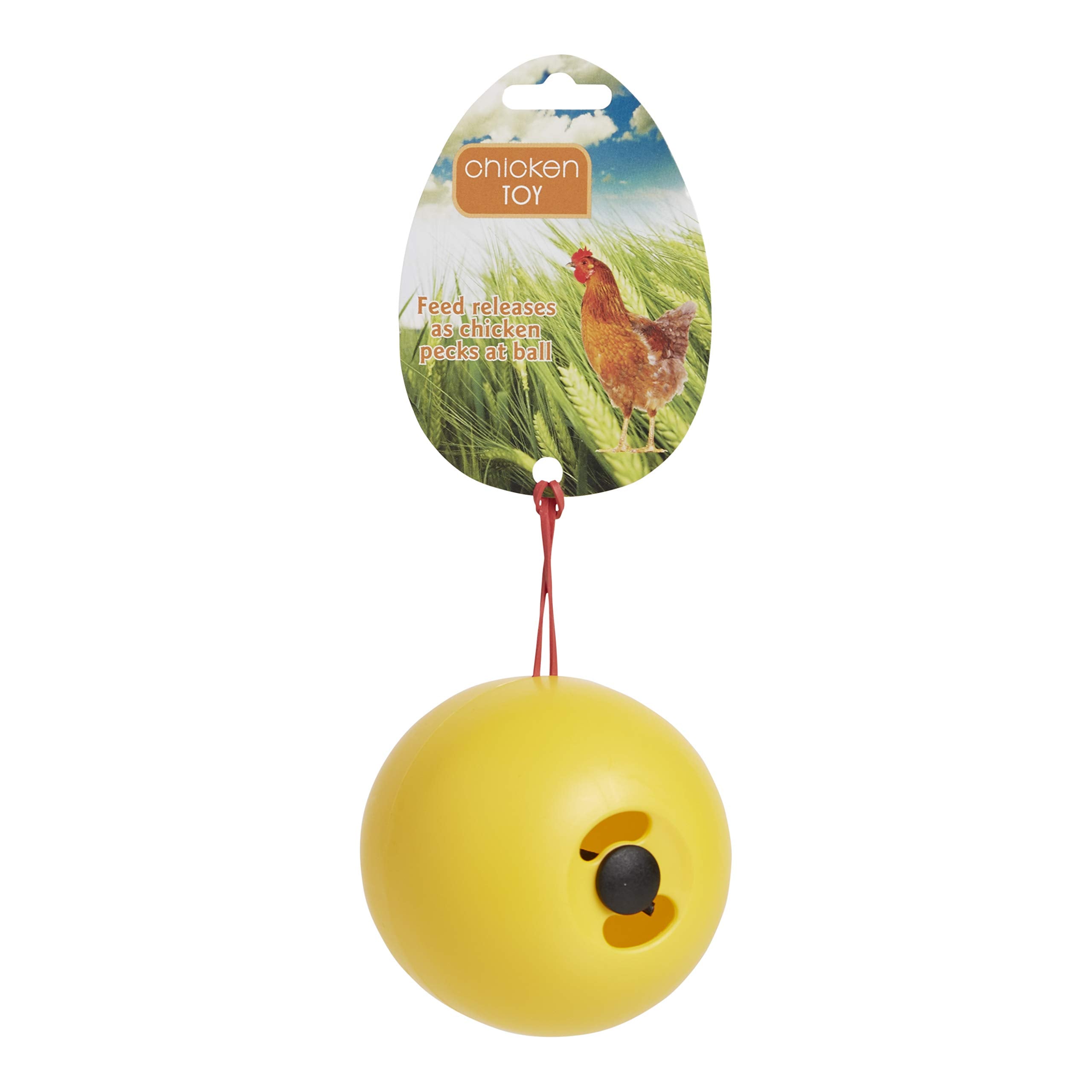 Lixit Chicken Feeder or Treats Ball Toy (2 Pack)