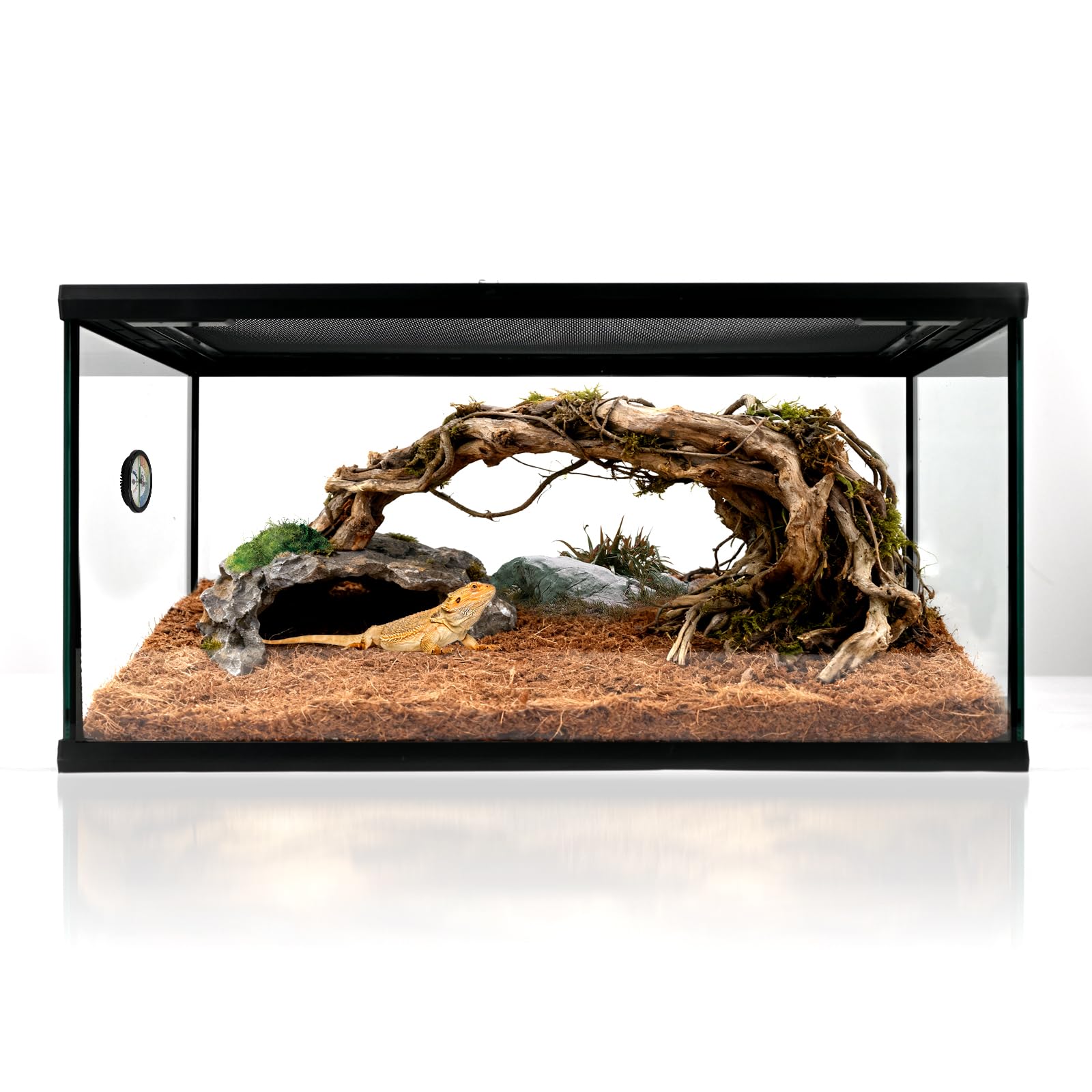 waazoorep Reptile Glass Tank 20*12*10 Pre-Assembled Terrarium for Turtle,Hermit Crab,Bearded Dragon,Gecko,Lizard,Snake,Spider,Fi