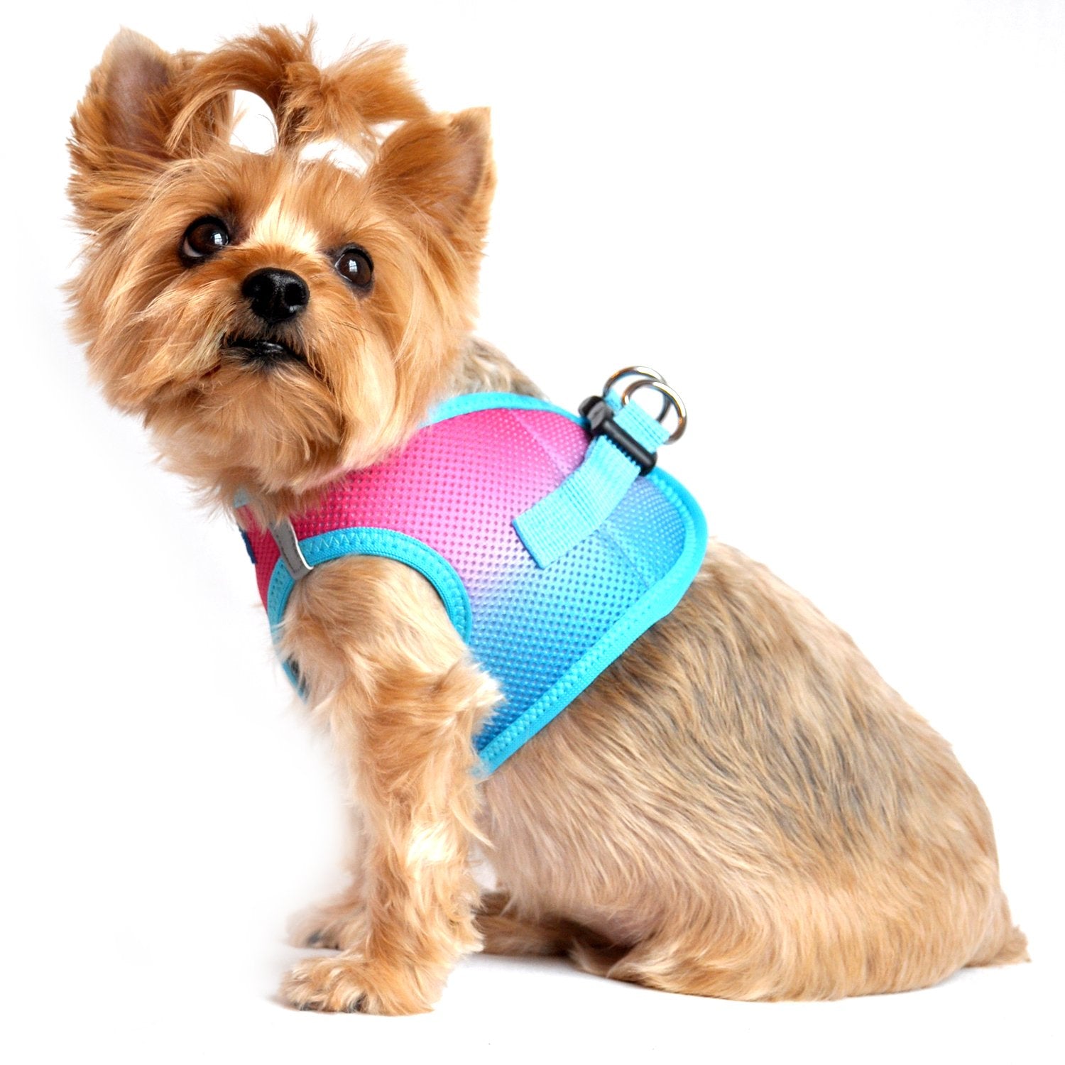Doggie Design No Choke Dog Harness - Simple Step-In And Go Dog Vest For Small, Medium, And Large Breeds - Breathable Mesh Polyester Pet Harness - Sugar Plum - L