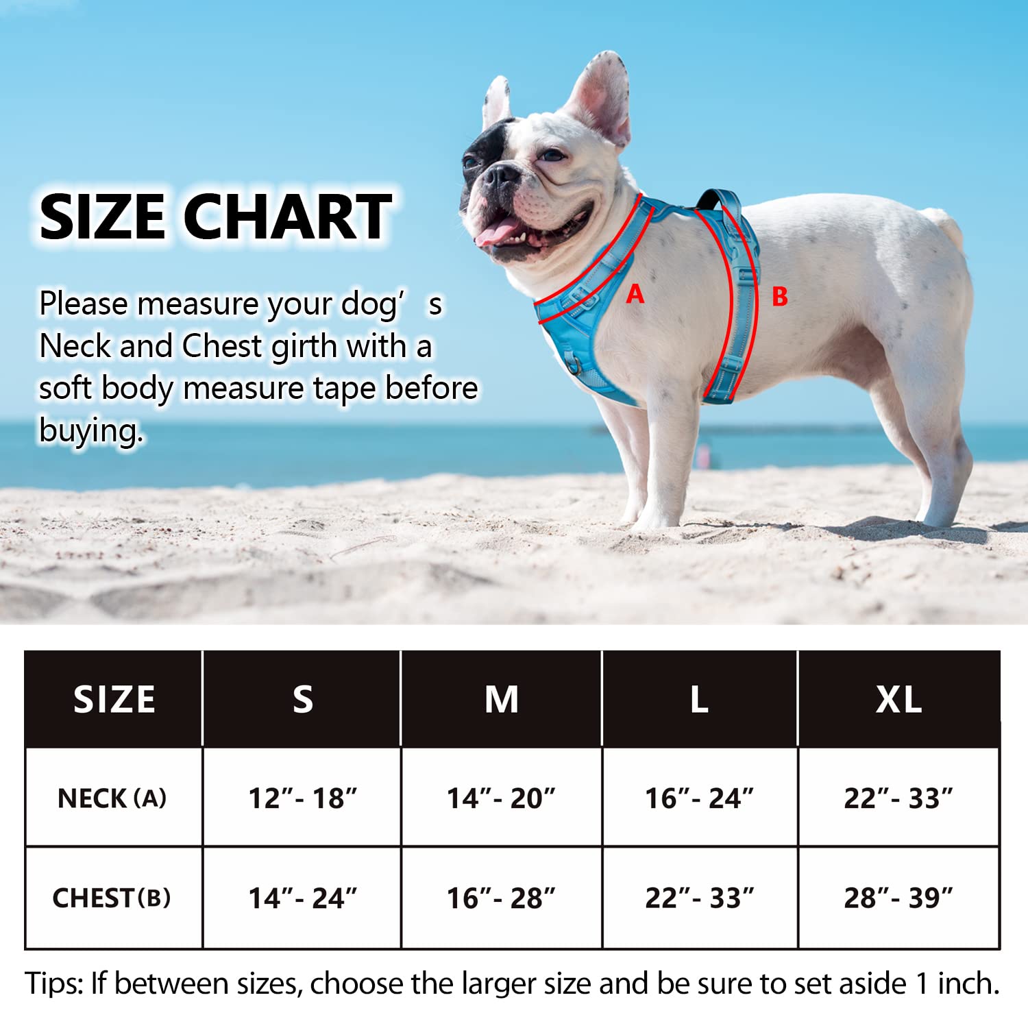 Poypet No Pull Dog Harness, No Choke Reflective Dog Vest, Adjustable Pet Harnesses With Easy Control Padded Handle For Small Medium Large Dogs(Blue,S)