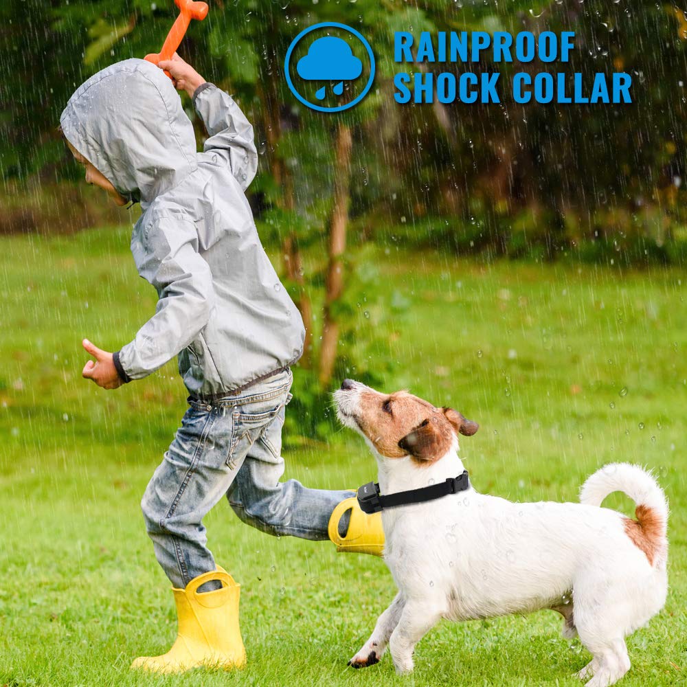 Petrainer Pet998Drb1 Dog Training Collar Rechargeable And Rainproof 330 Yd Remote Dog Training Collar With Beep, Vibra And Static Electronic Collar
