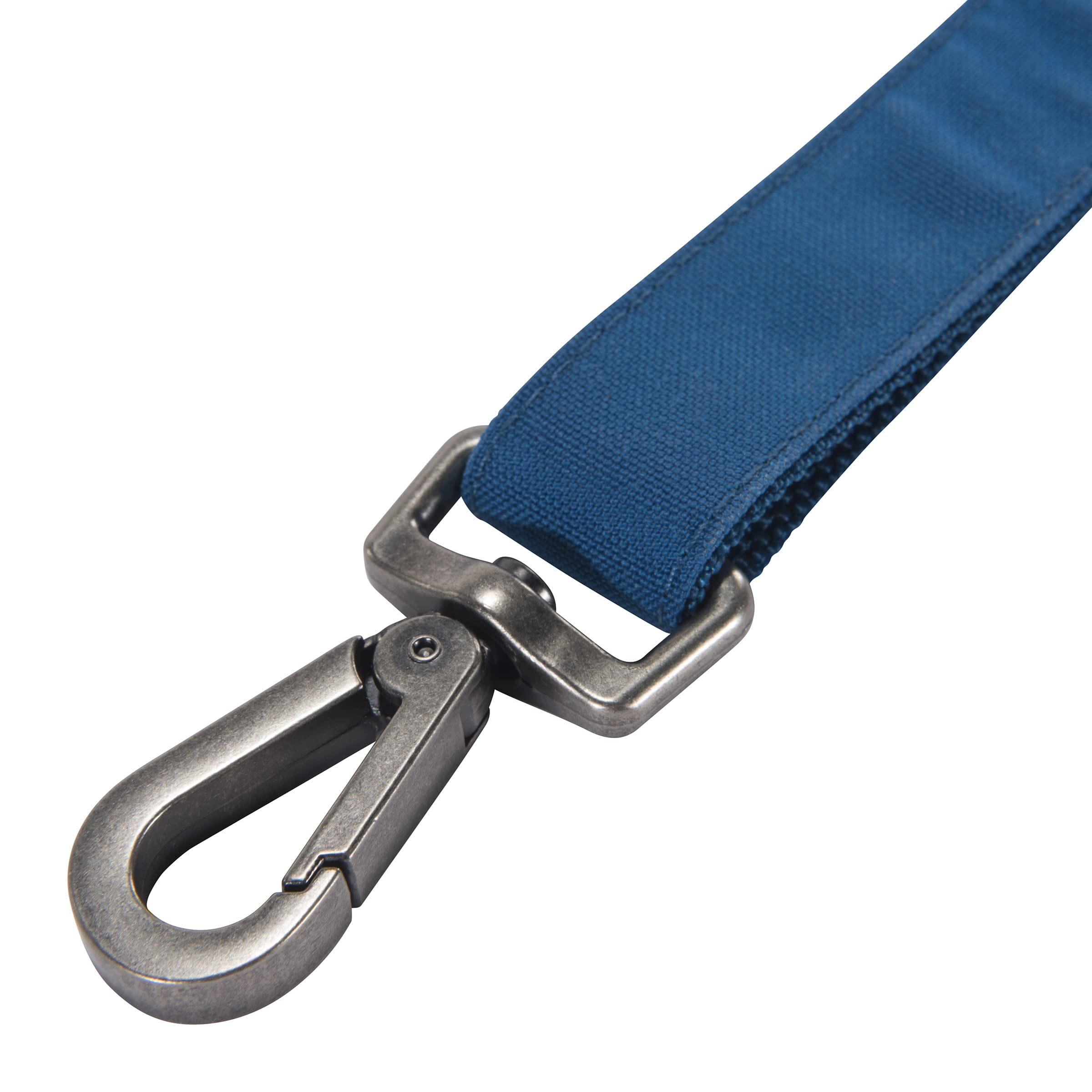 Carhartt Pet Durable Nylon Duck Leashes For Dogs, Reflective Stitching For Visibility, Marine Blue, Large