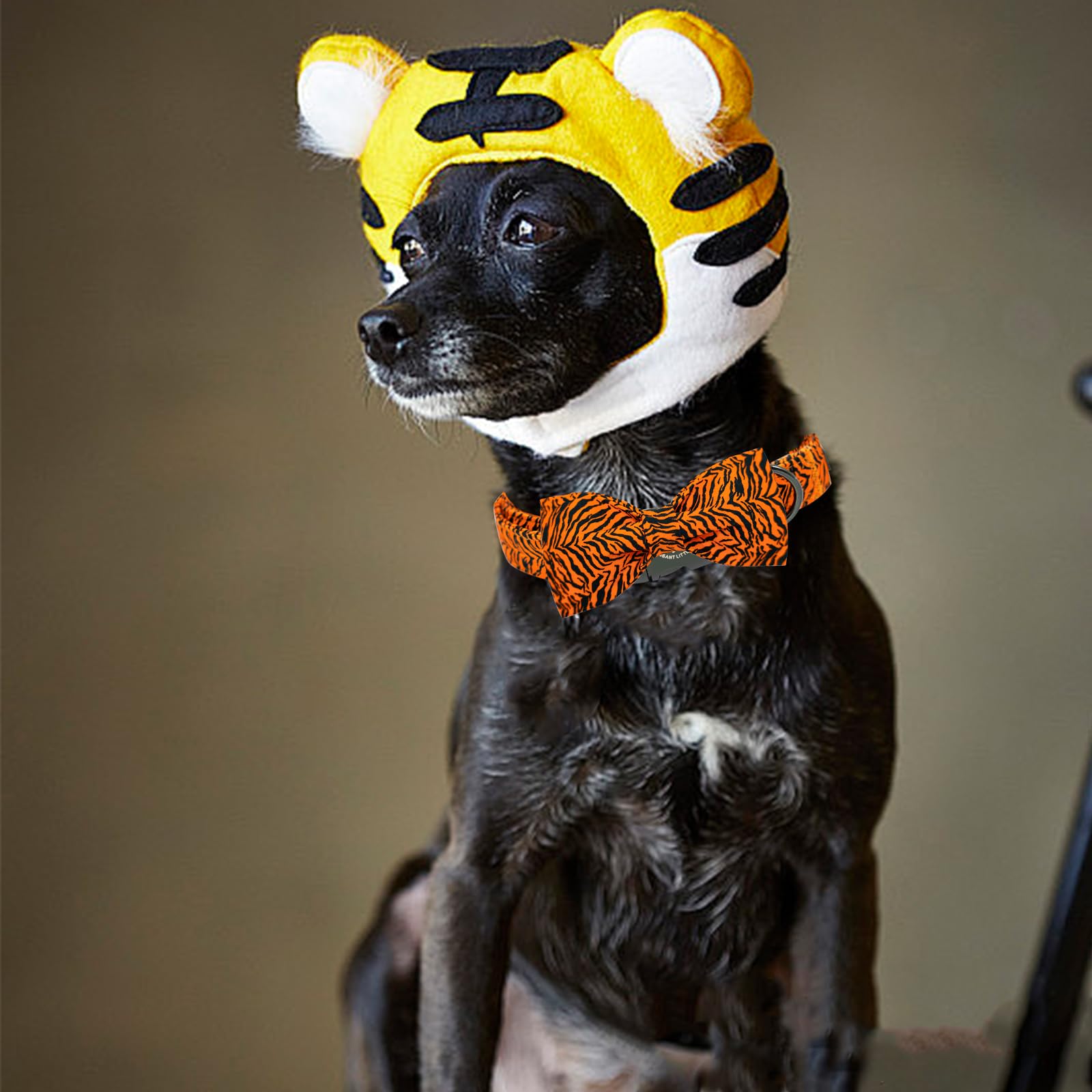 Elegant Little Tail Tiger Print Dog Collar, Large, Cotton, Unique Seasonal Design, Buckle Closure, Adult, Large Breed