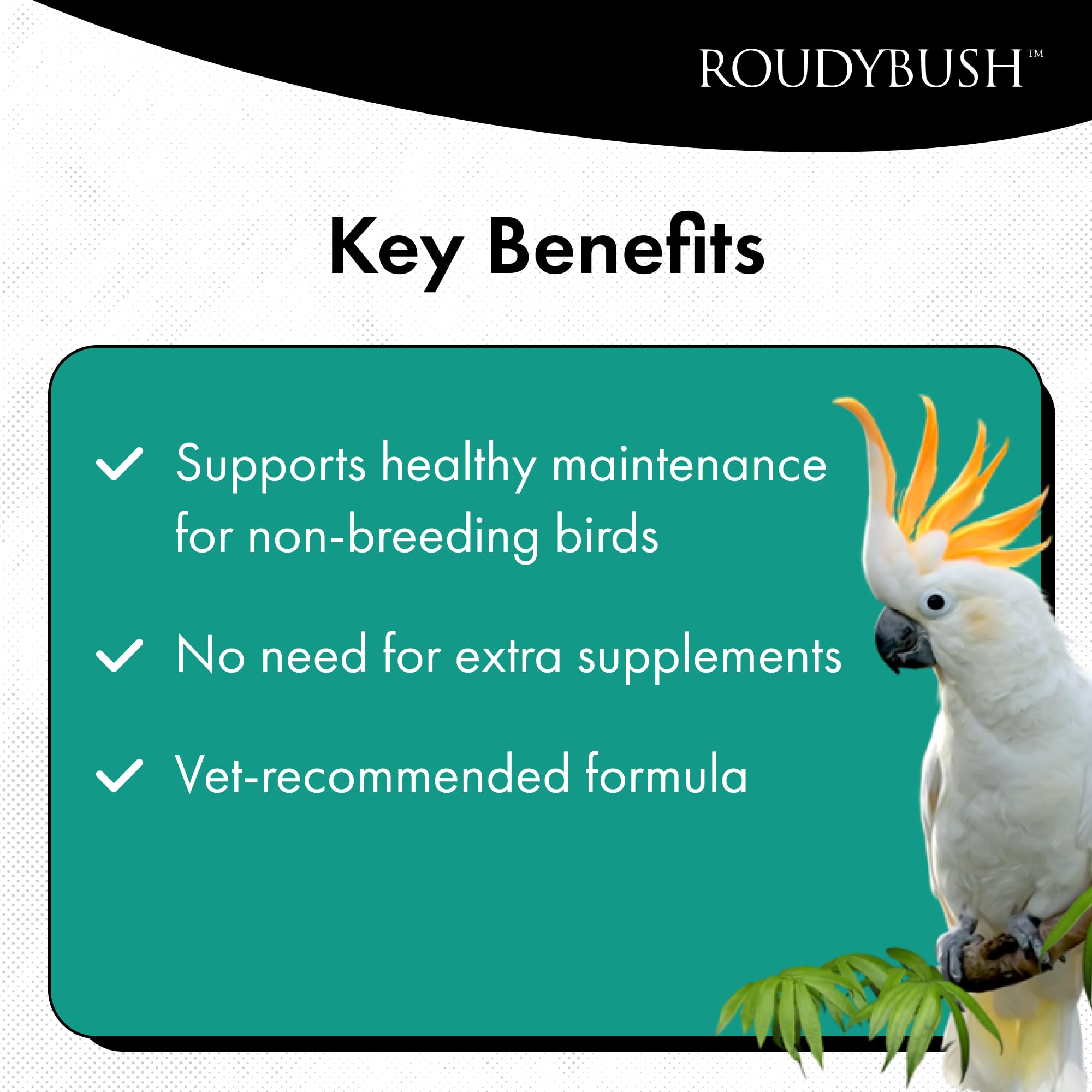 RoudyBush Daily Maintenance Bird Food, Medium, 10-Pound (Packaging May Vary)