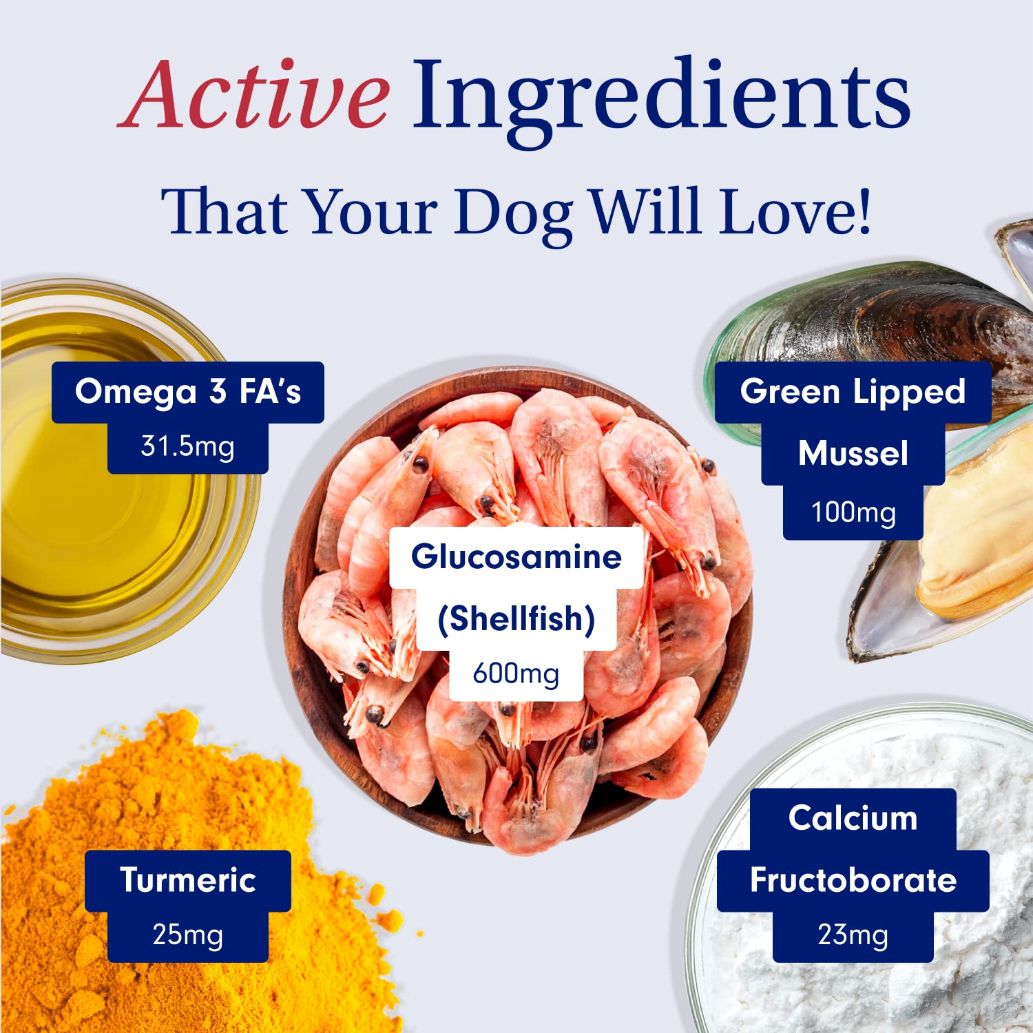 Petlab Co. Joint Care Chews - High Levels of Glucosamine for Dogs, Green Lipped Mussels, Omega 3 and Turmeric - Dog Hip and Join