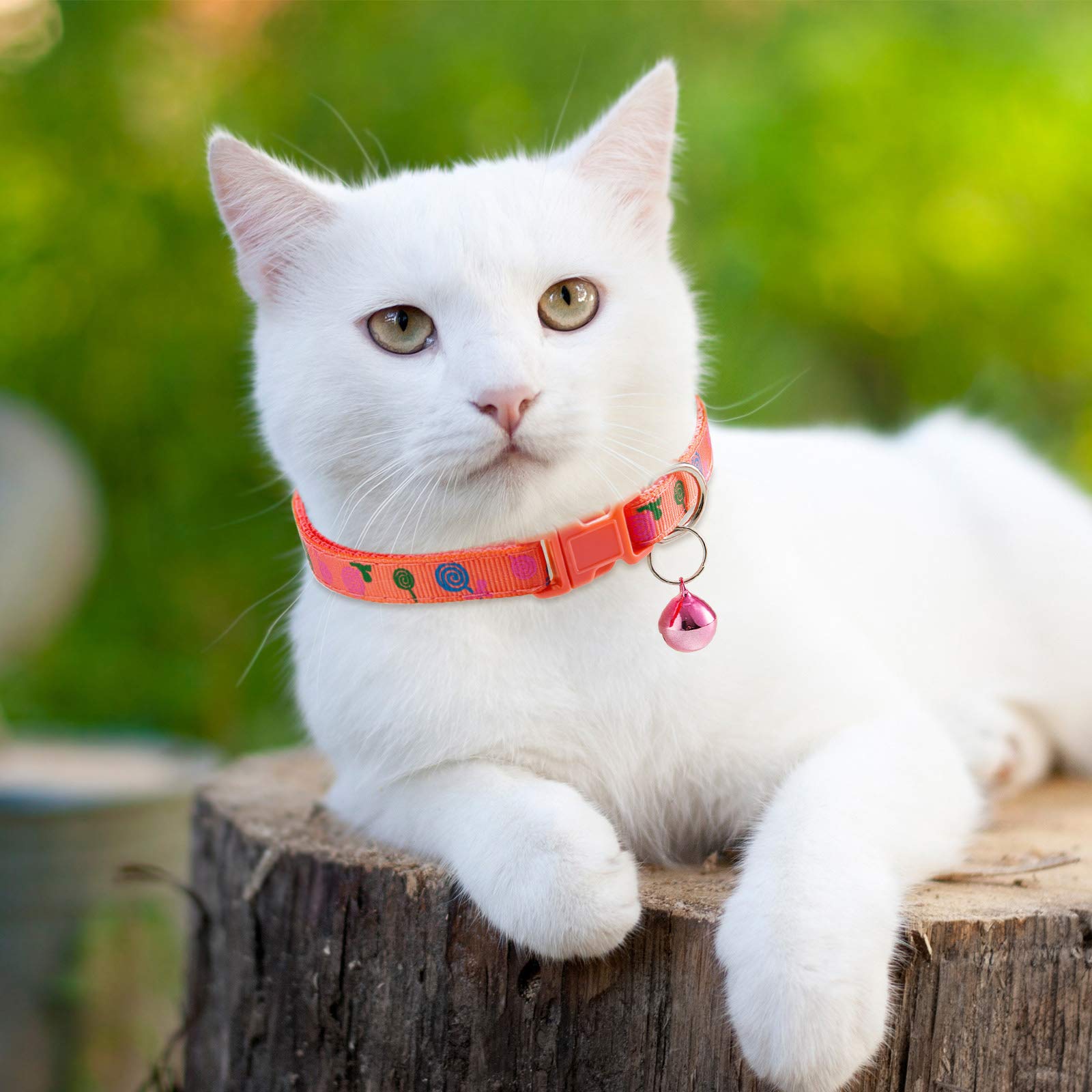 Frienda 6 Pieces Cat Collar with Bell Kitten Breakaway Collar Heart Pattern Adjustable Lollipop Spring Summer Design for Girl Bo