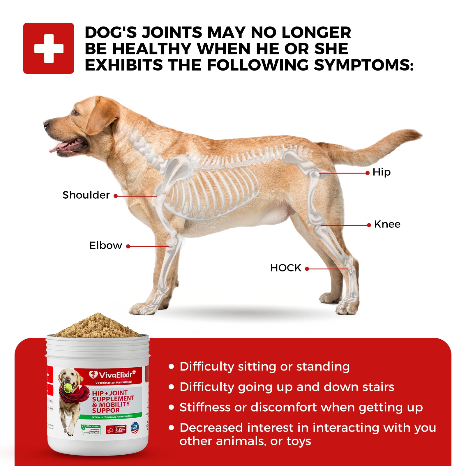 Dog Hip and Joint Supplement with Green-Lipped Mussels, Dog Pain Relief - Glucosamine, Chondroitin, Vitamin E, Omega 3 - Treats