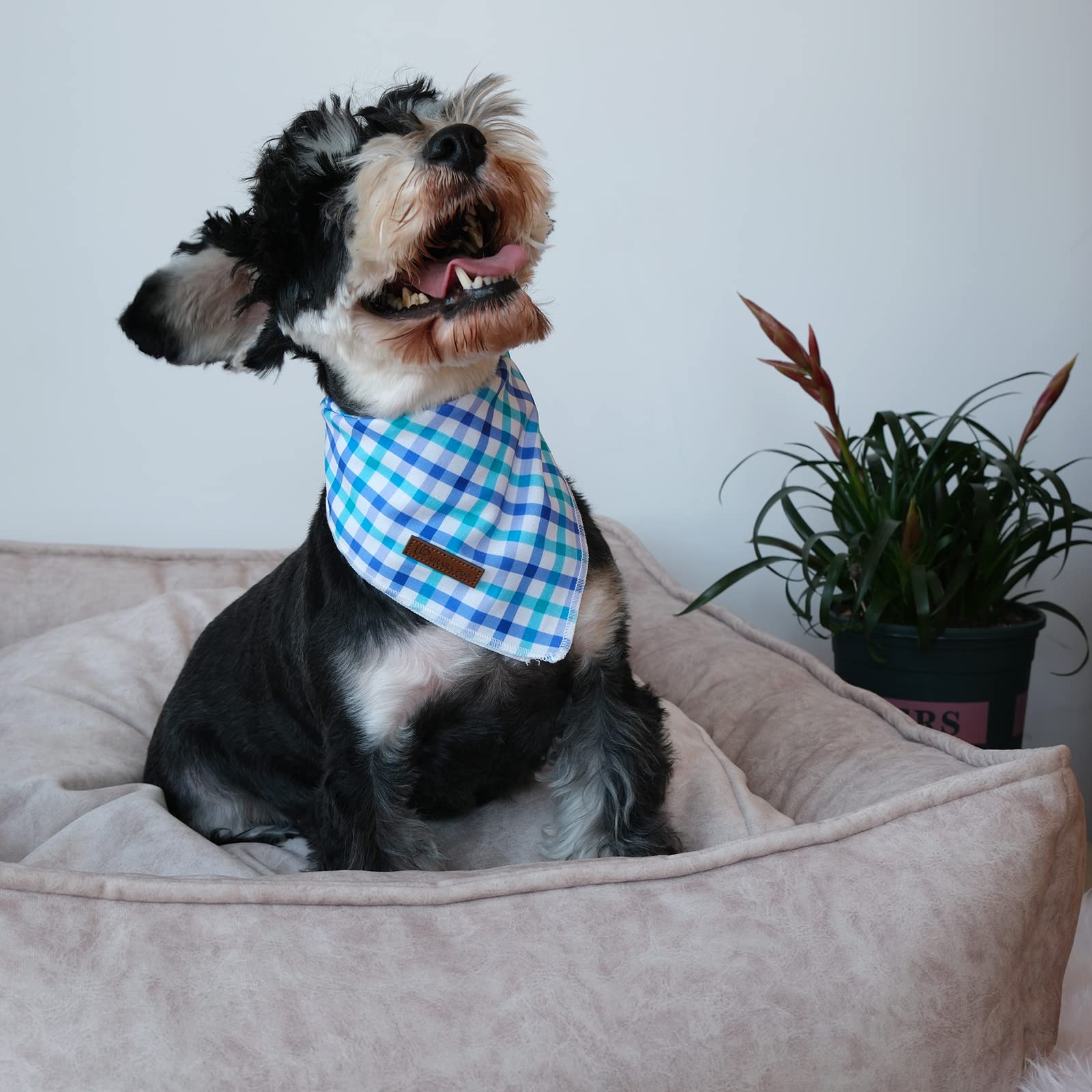 Up Urara Pup Summer Bandana - Comfortable Cotton Grid Triangle Bid Scarf For Puppy, Washable Pet Kerchief For Boy Or Girl Dogs O