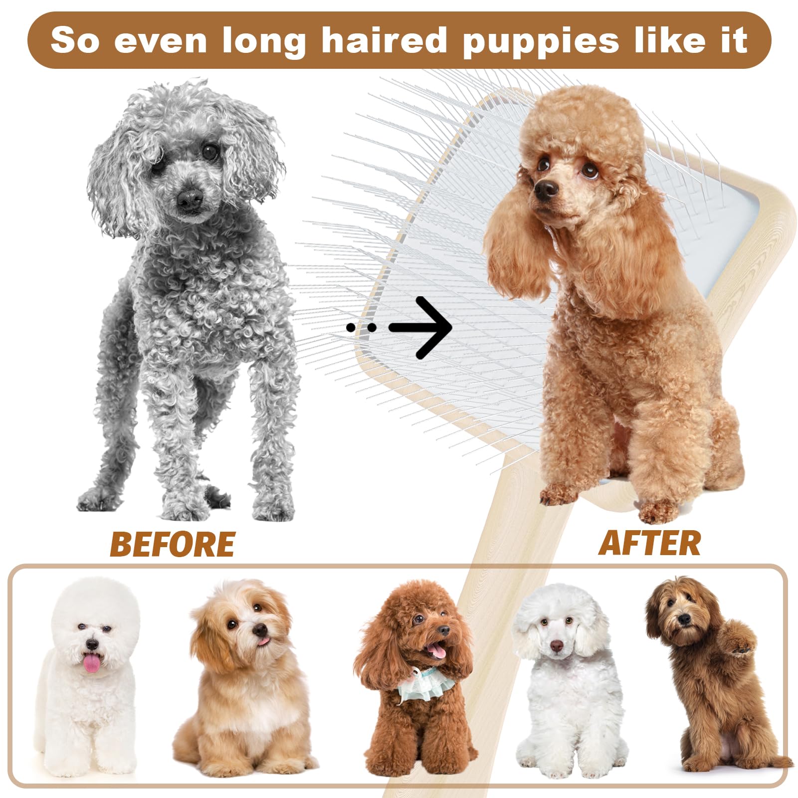 Petqueen Slicker Brush for Dogs, Medium Size, Wood, 24mm Pins, Ideal for Doodles, Poodles, Curly Hair, Removes Tangles & Loose Fur