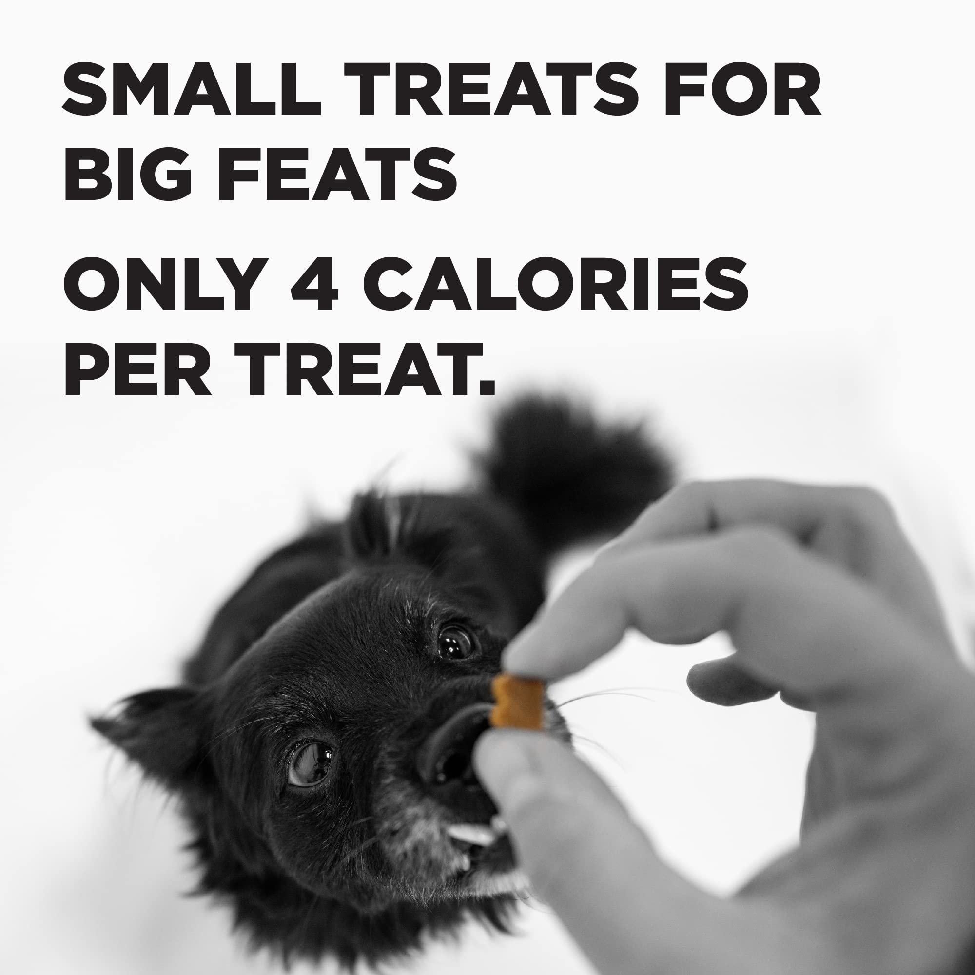BIXBI Pocket Trainers, Salmon (6 oz, 1 Pouch) - Small Training Treats for Dogs - Low Calorie and Grain Free Dog Treats, Flavorfu