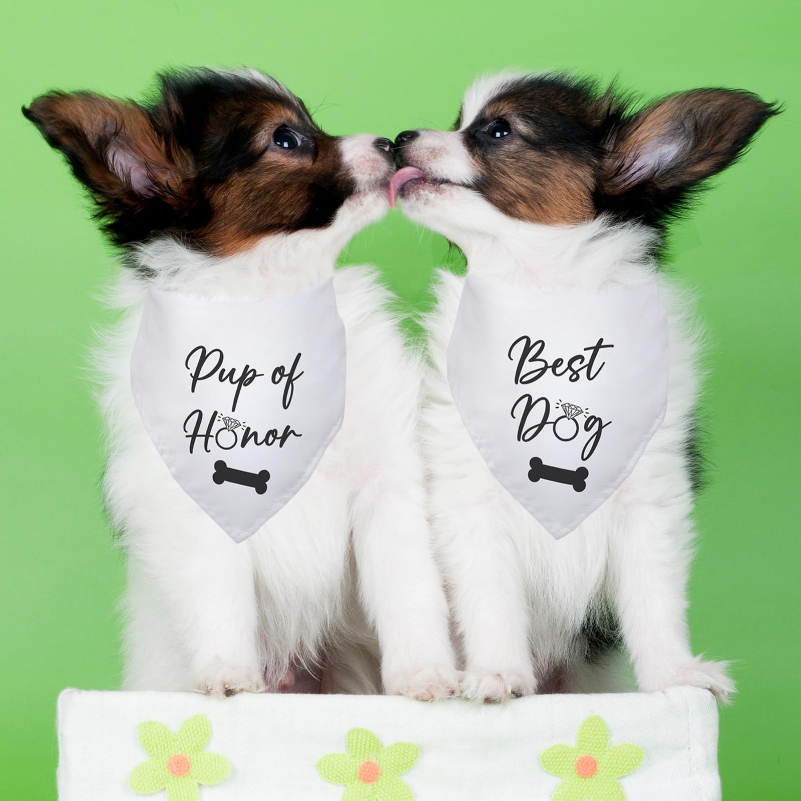 Pup Of Honor Best Dog Bandana Wedding Dog Bandana Bridal Party Wedding Engagement Photo Prop Pet Scarf Accessories For Dog Lover