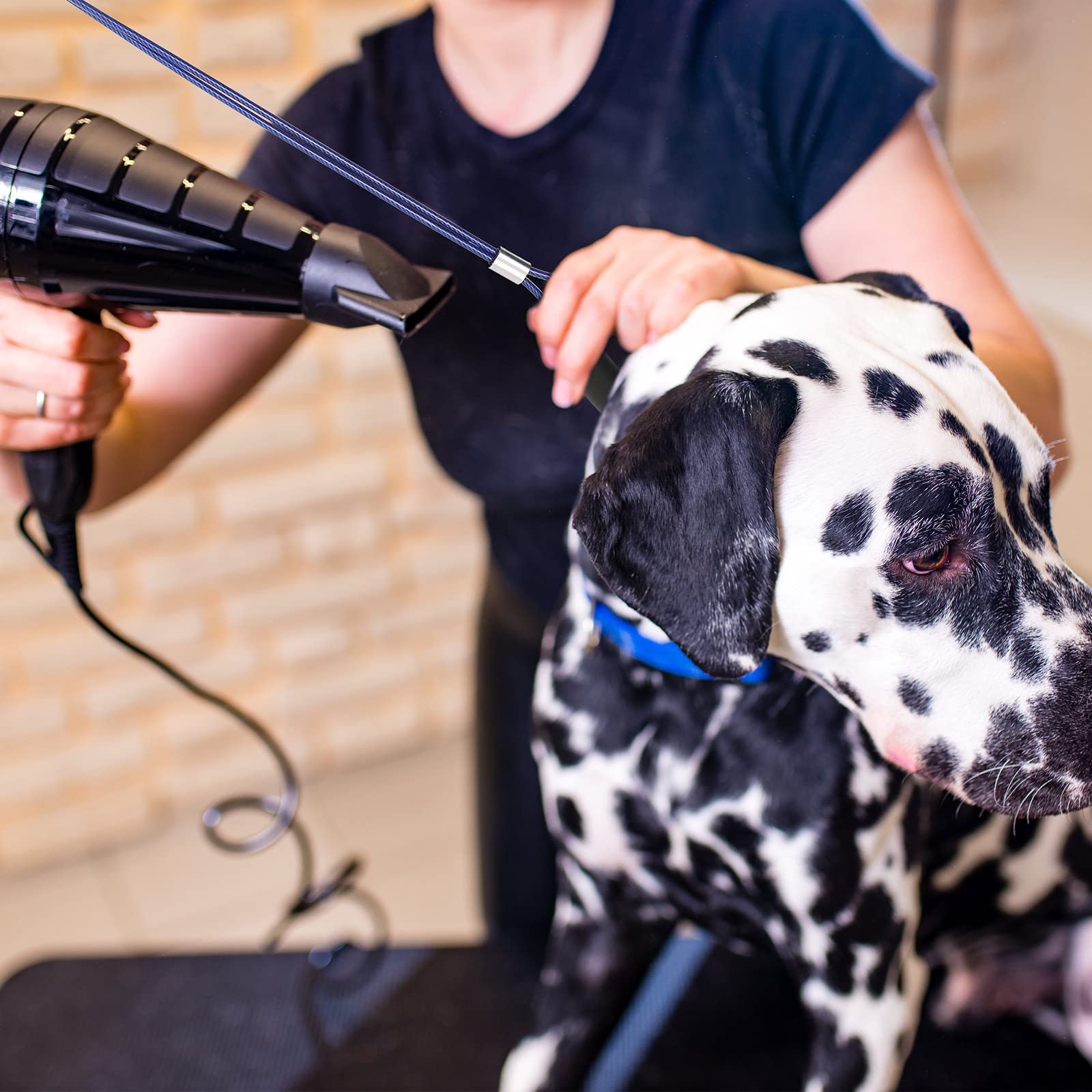 8 Pcs Dog Grooming Loop Noose, Dog Grooming Restraint Loop Grooming Loops For Dogs Groomers Long Noose For Grooming Pet Grooming Table Dog Bath Tub Pet Bathtub Medium Large Small Dog Bathing Station