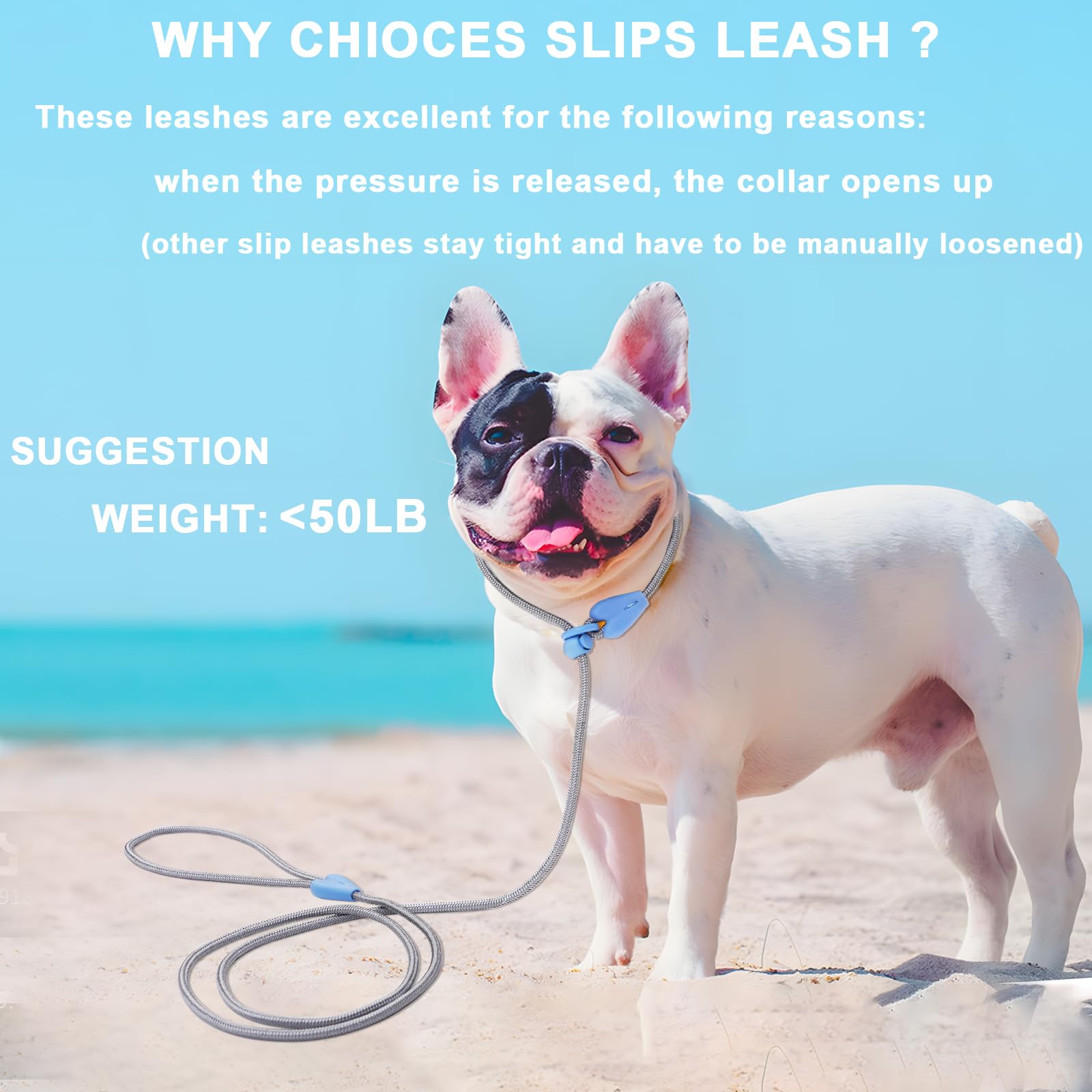 Slip Lead 6 Ft Dog Training Leash - 6 Color Slip Leads For Medium Dogs - No Pull Grey Leash