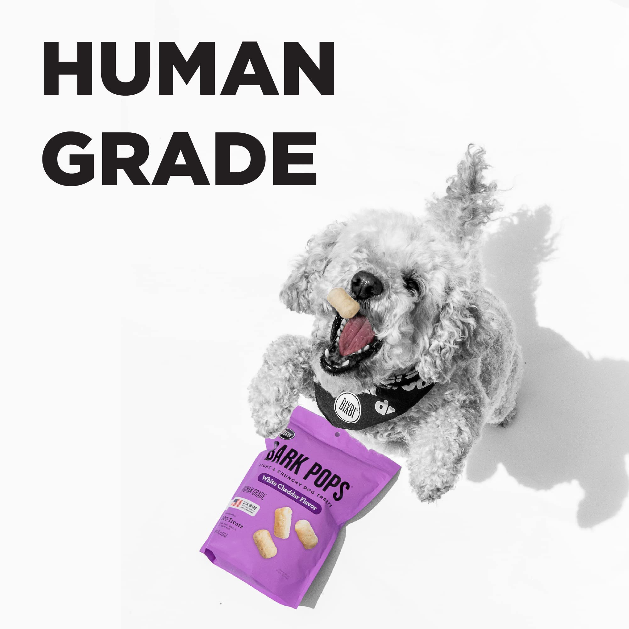 BIXBI Bark Pops, Sweet Potato and Apple (4 oz, 1 Pouch) - Crunchy Small Training Treats for Dogs - Wheat Free and Low Calorie Do