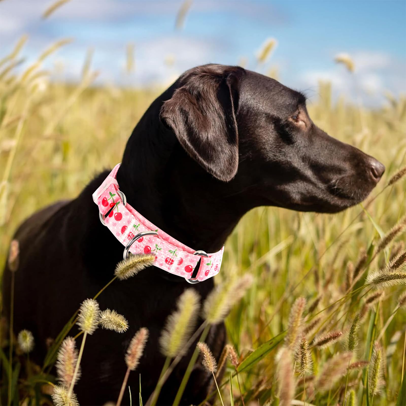 Onefojojo Martingale Collar For Dogs,Cute Pink Cherry Adjustable Martingale Collar For Small Medium Large Dogs Girl Dogs Boy Dog