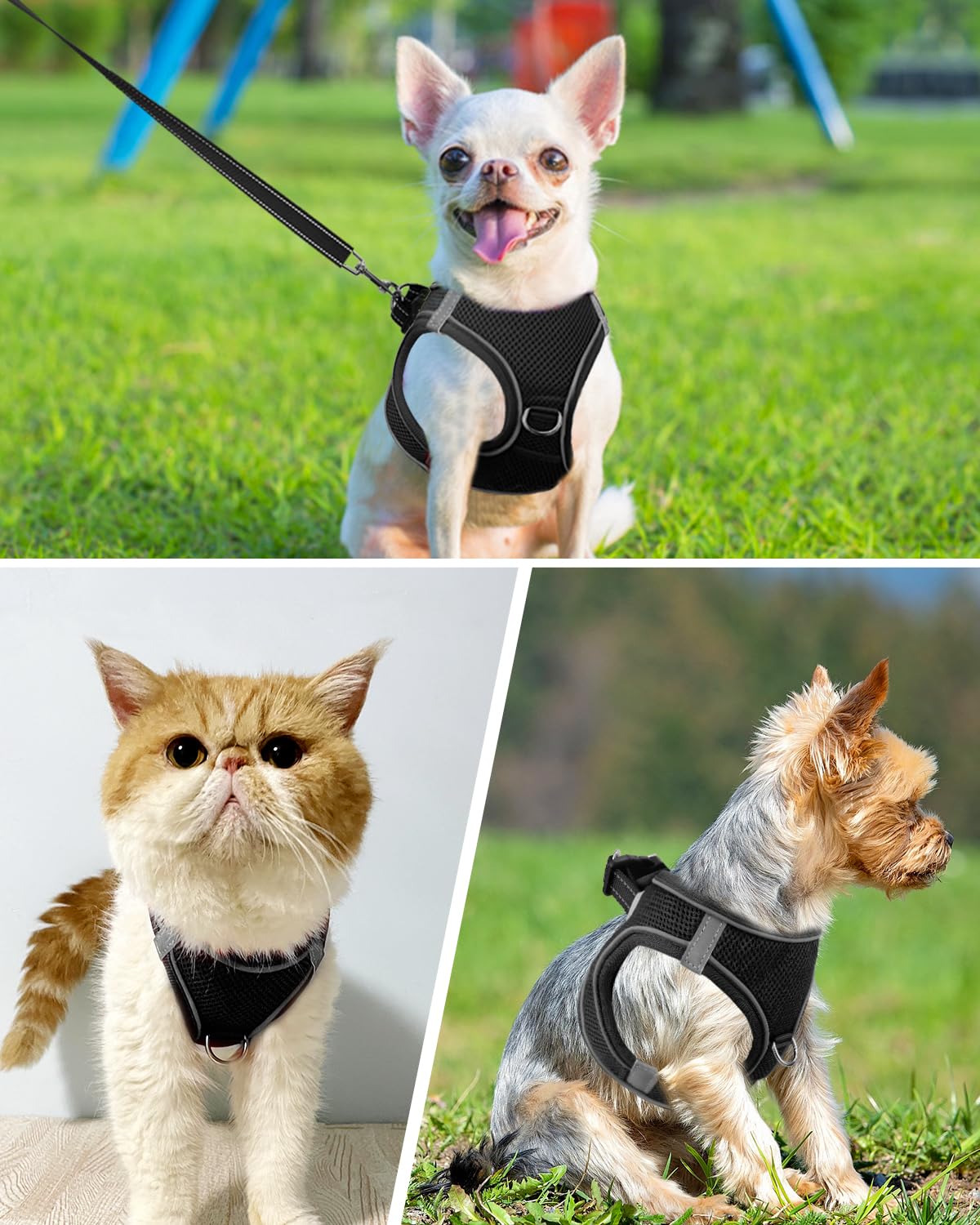 Joytale Step In Dog Harness,12 Colors,Breathable Mesh Vest Harness,Reflective Soft Padded Harnesses For Cats, Puppies And Extra