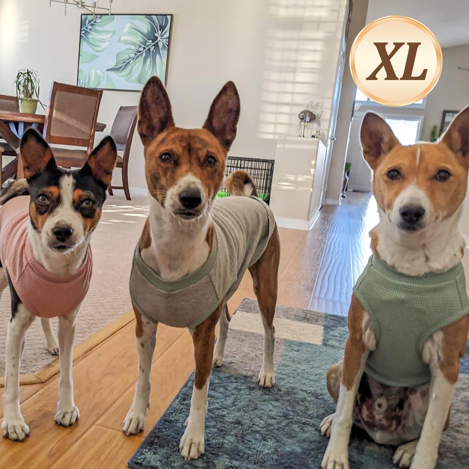 Kyeese 2Pack Dog Shirts Waffle For Small Dogs Stretchy Dog T-Shirts Lightweight Dogs Tank Top Sleeveless Pet Vest Breathable, X-