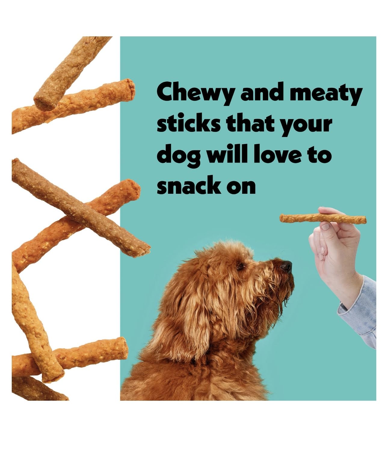Wiggles & Wags Meaty Sticks Dog Treats, Chicken Bacon Beef Flavors, 16 oz with DN Essentials Bone Shaped Waste Bag Dispenser & R
