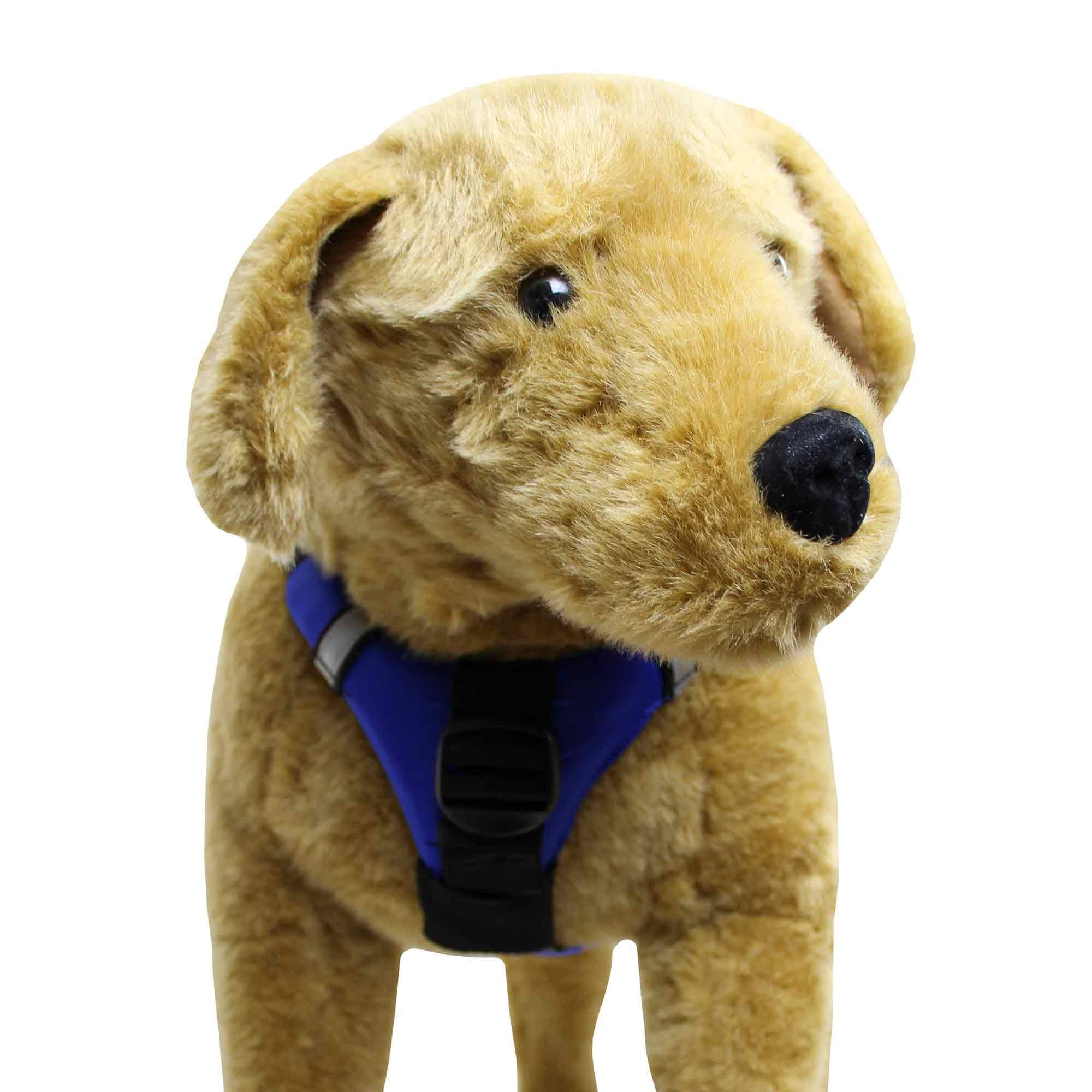 Pup Float Mango / 2Xs