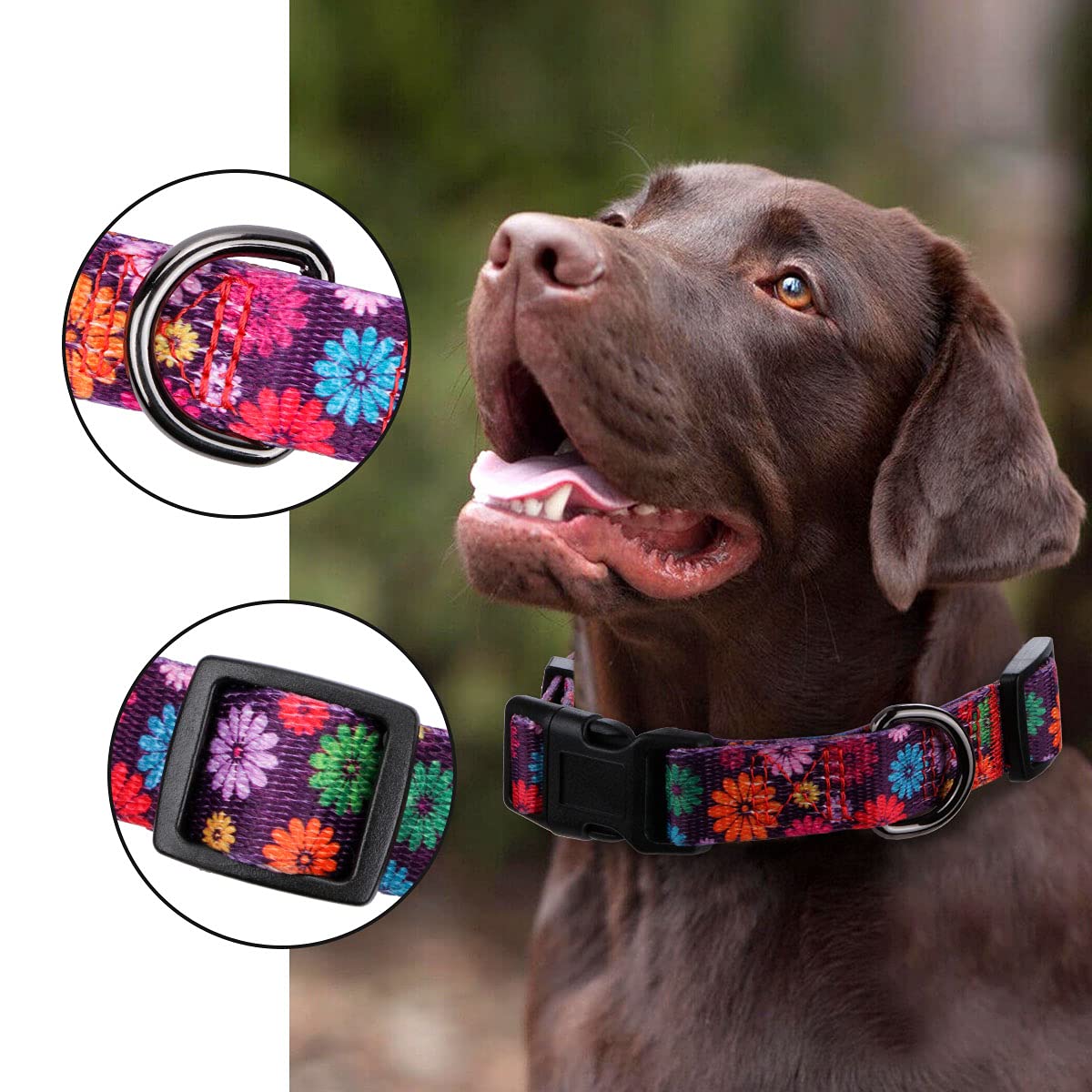 Rhea Rose Girl Dog Collars Fall Daisy Pattern, Colorful Flowers Print, Female Collar, Dark Purple, Large