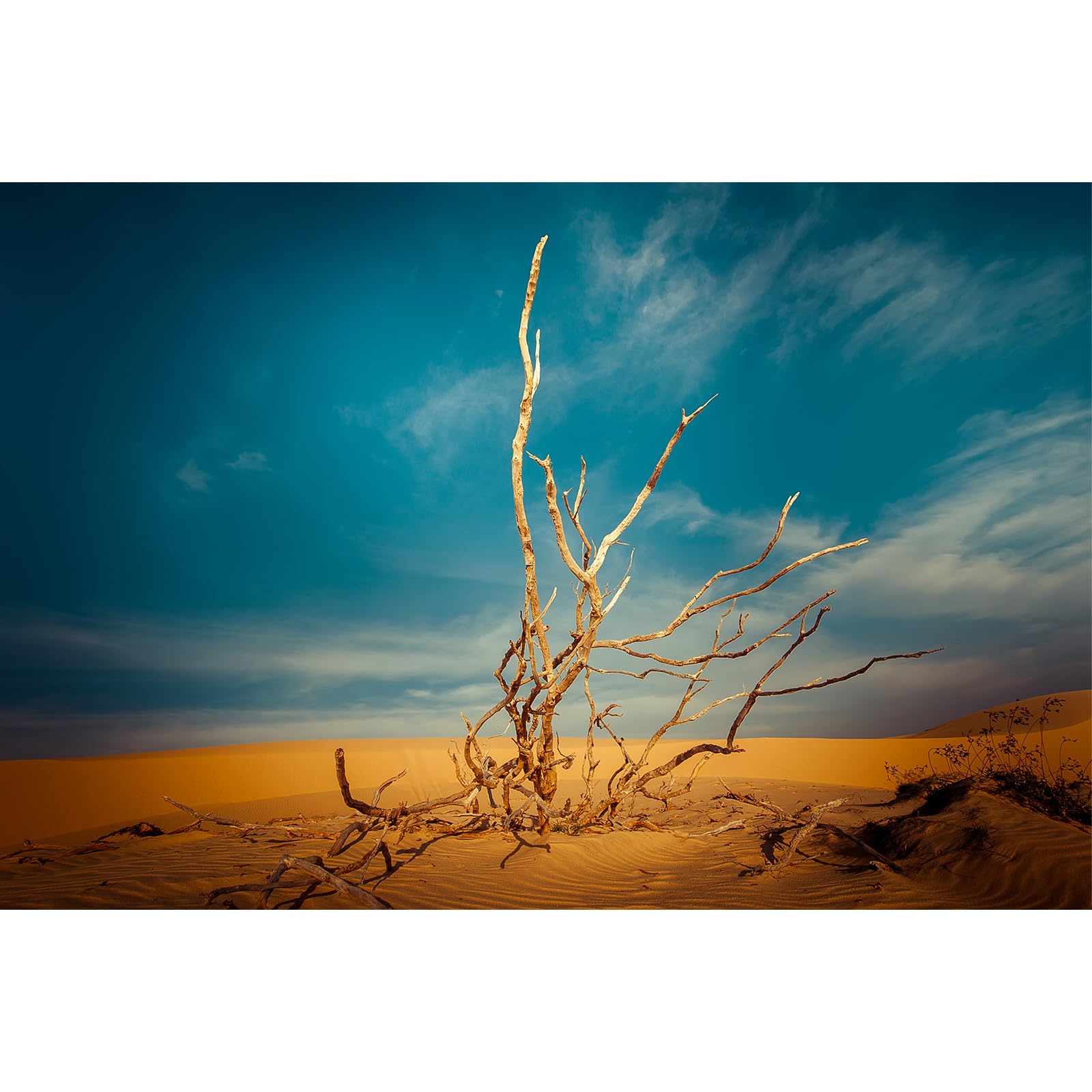 Riivvdise Reptile Tank Background Dead Standing Tree Nature Landscape Backdrop Orange Desert Scenery Terrarium Background Aquari