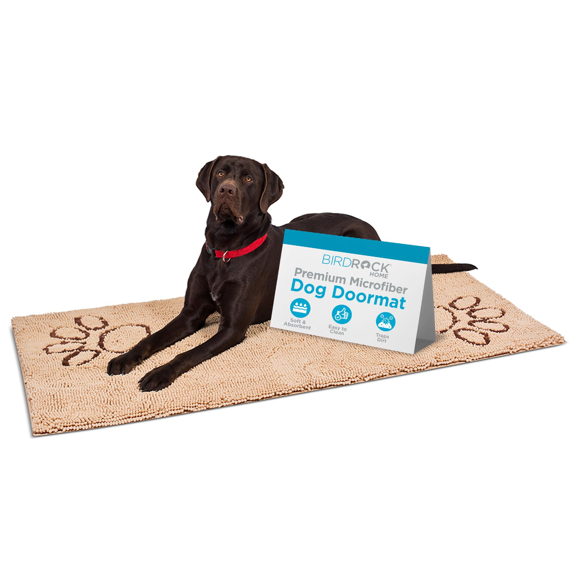 Birdrock Home Chenille Dog Doormat - Absorbent Surface To Keep Floors Clean, Non-Skid Bottom For Safety, Ultra-Soft & Durable, I