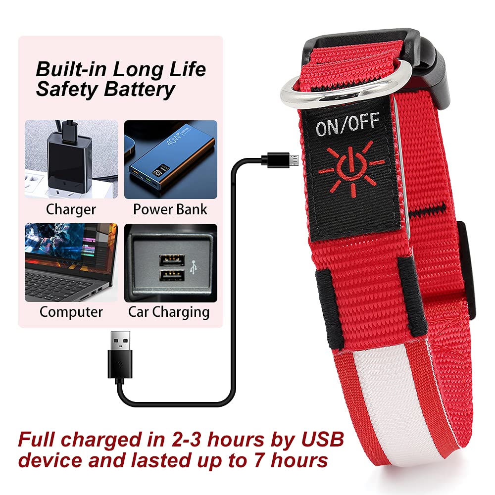 Yfbrite Ultra Light Usb Rechargeable Led Dog Collar - Adjustable Light Up Dog Collar - Waterproof Dog Collar - Flashing Dog Collar Visiblity & Safety For Your Dogs (Red, Small)