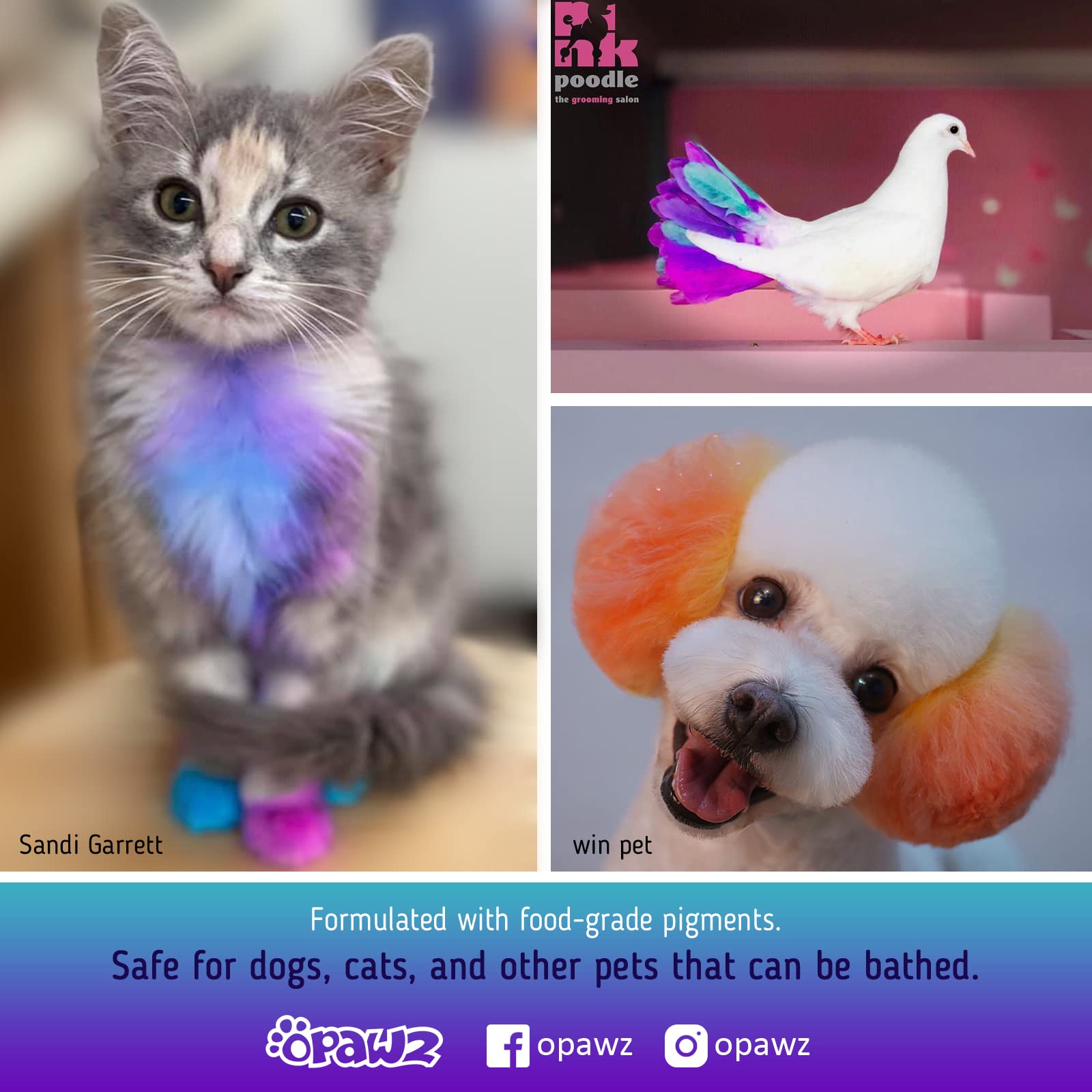 OPAWZ Semi-Permanent Dog Hair Dye, Food-Grade Pigment Dog Dye, Non-Toxic Pet Hair Dye for Dogs, Cats and All Pets Can be Bathed