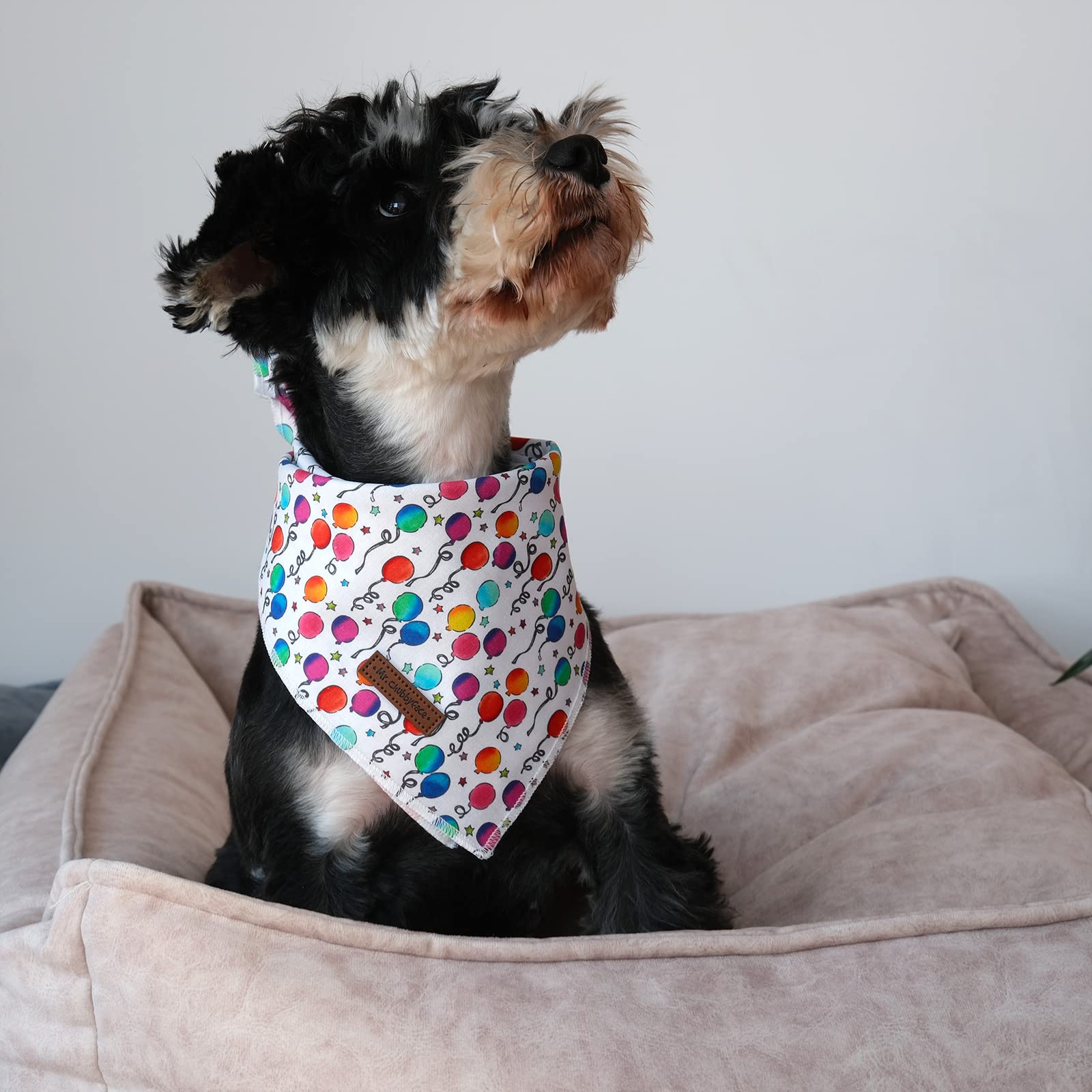 Mr. Chubbyface Birthday Dog Bandanas Reversible Triangle Bibs Scarf Accessories For Dogs Cats Pets C:Balloon