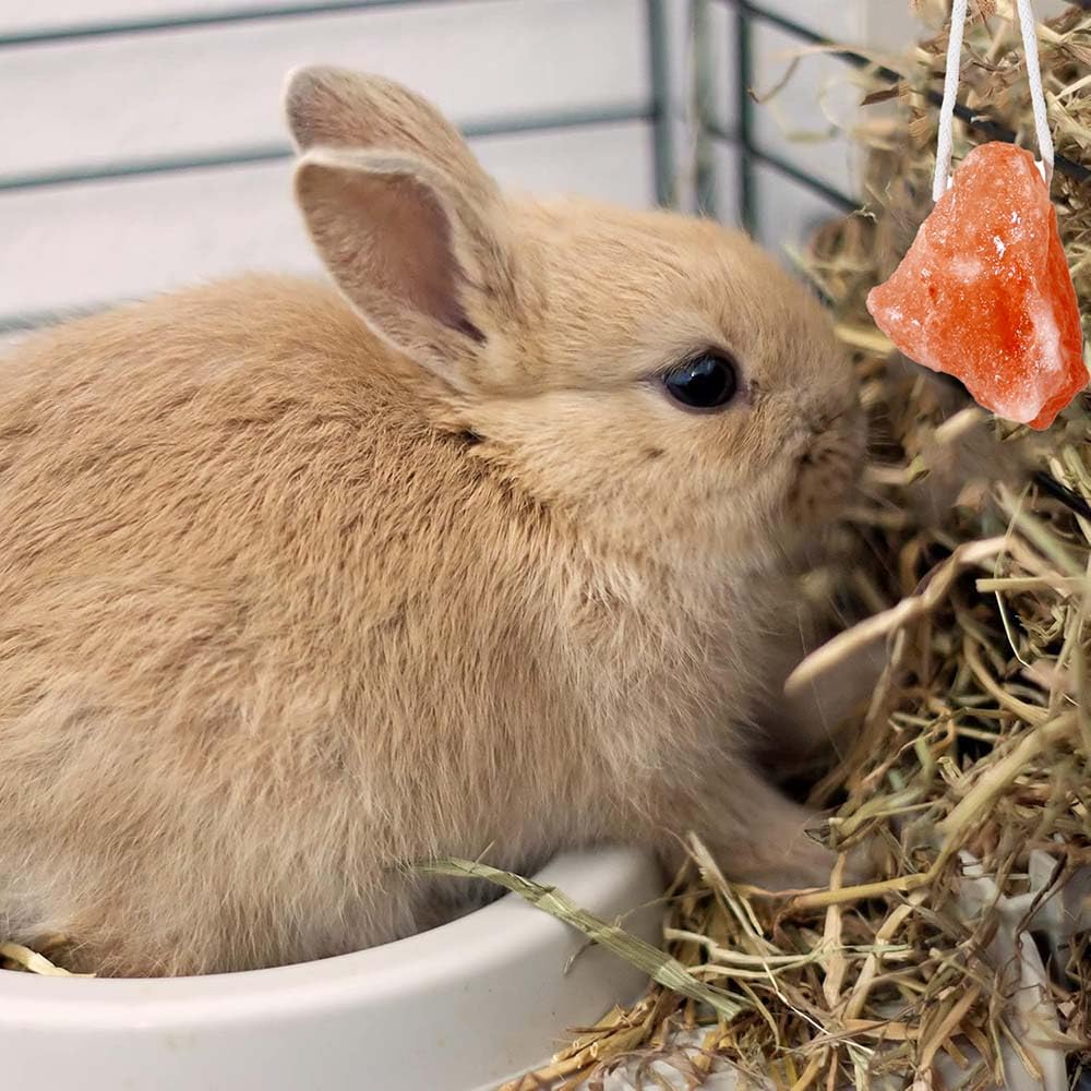 Lanxitown 4 Pcs Rabbit Salt Lick And 5 Pcs Loofah Rabbit Chew Toys Himalayan Salt Block Natural Small Animal Mineral Salt With R