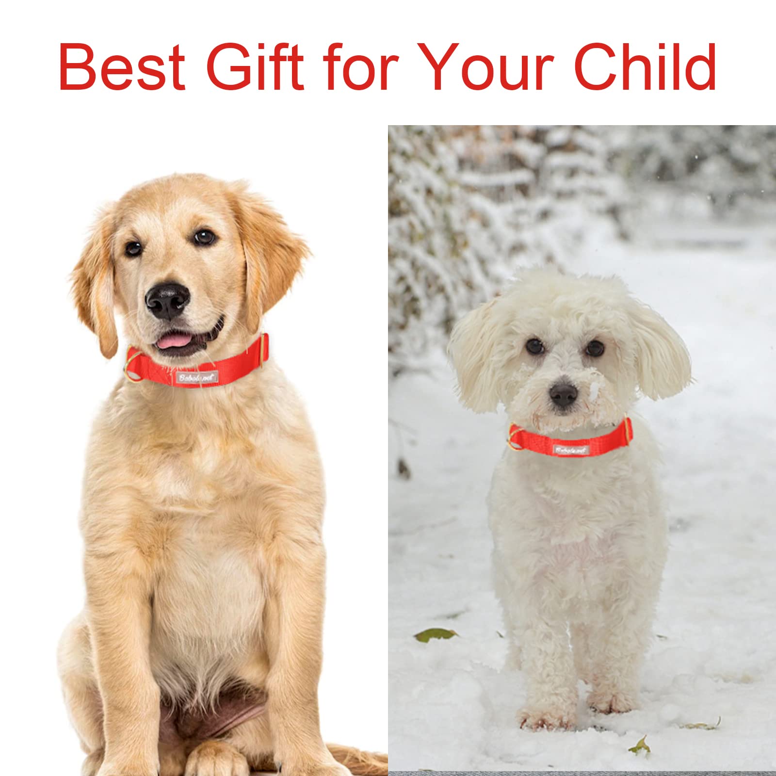 Babole Nylon Dog Collars Red For Small Puppy Dog,13 Colors,Adjustable Soft Comfortable Pet Collars With Safety Metal Buckle For Medium Large Boy&Girl&Female Dog(M)