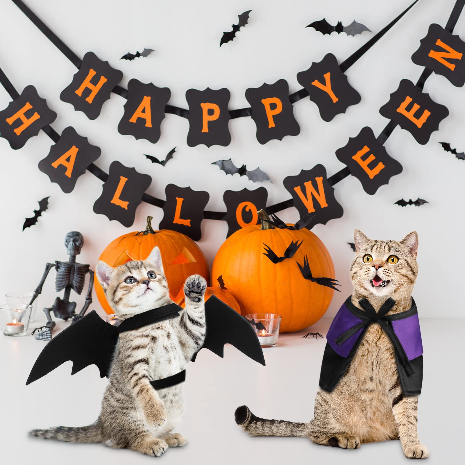 3 Piece Halloween Cat Dog Costume Set, Pet Bat Witch Vampire Pumpkin Cloak Giant Imitation Pet Spider Pets Costume Cosplay Accessories Halloween Pets Decoration For Dogs Puppy Cats (Cool,M)
