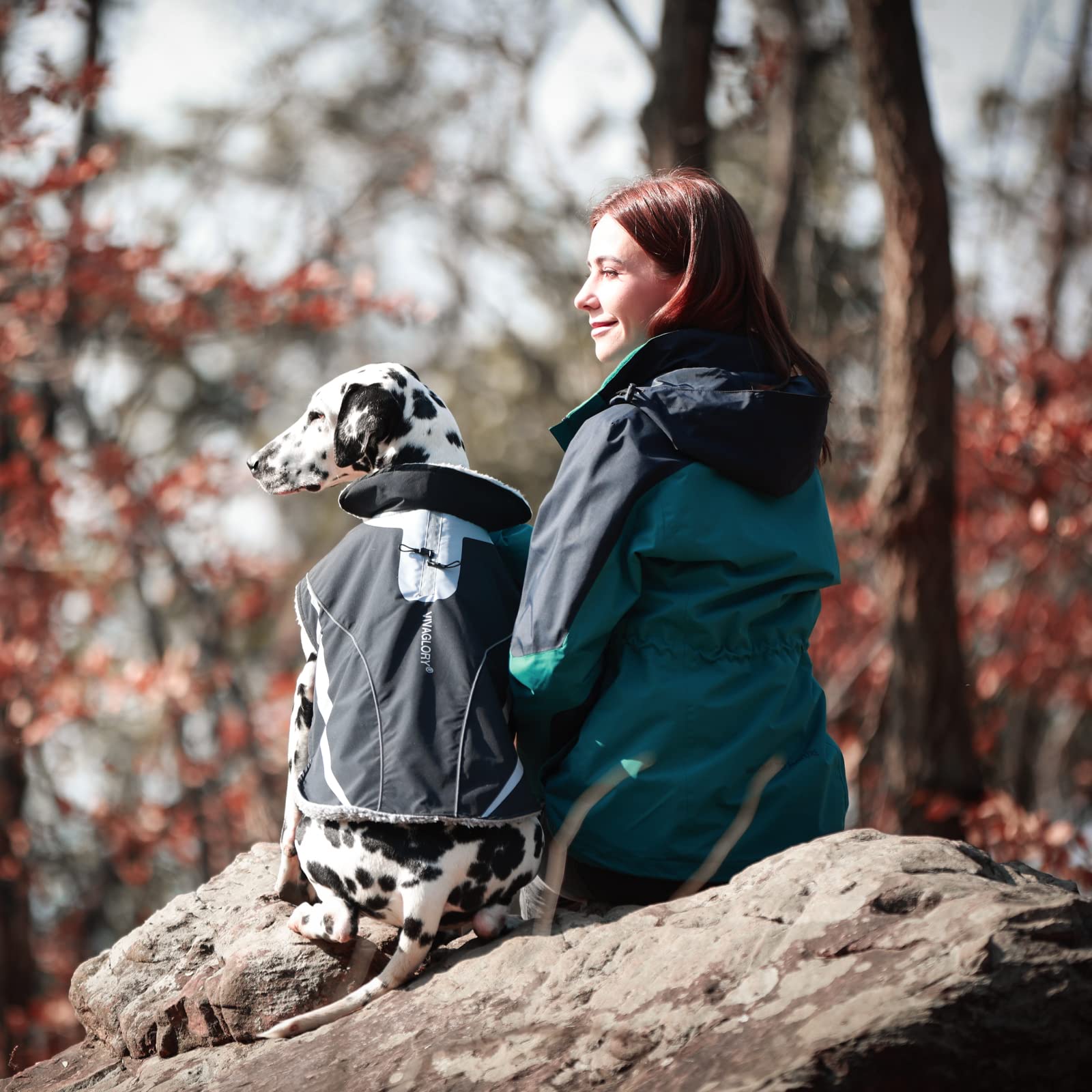 Vivaglory Vivaglory Dog Coat, Lightweight Cozy Fleece Lined Dog Jacket For Late Autumn And Early Winter, Water Resistant Dog Fle