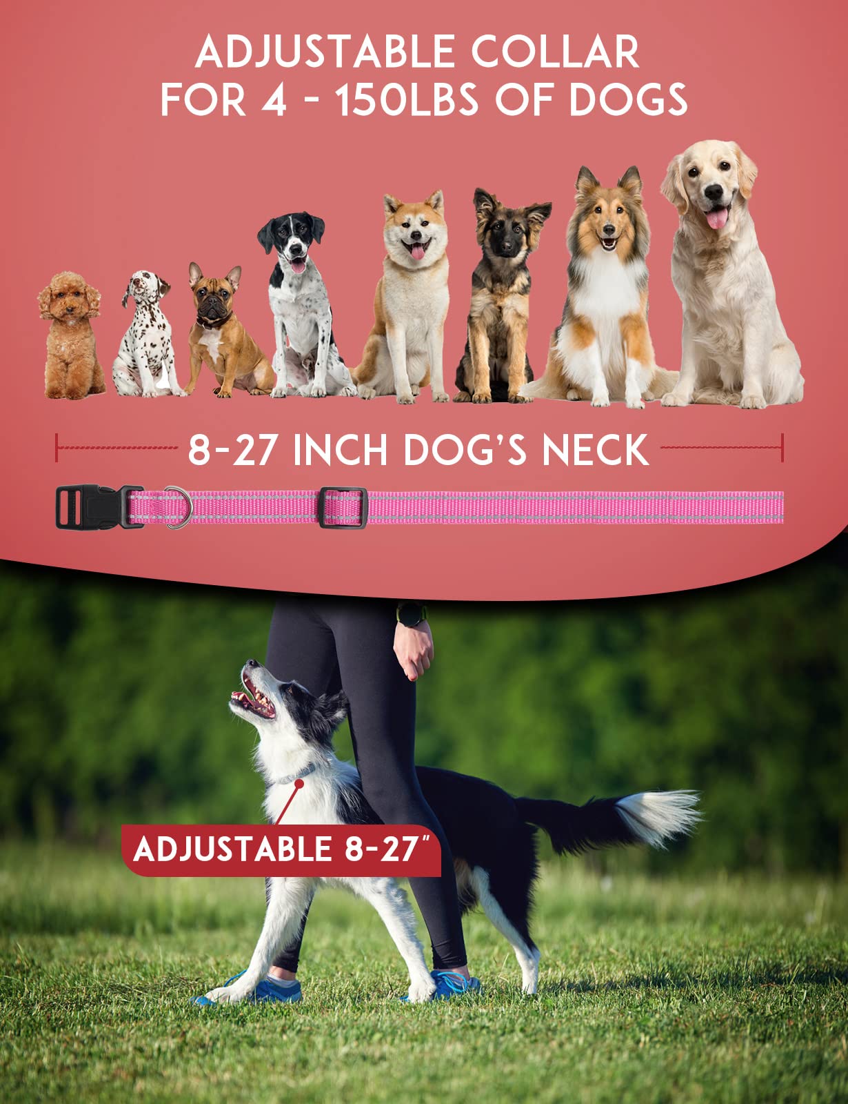 Paipaitek Replacement Collar For Shock Collar, Compatible With Patpet, Sportdog, Garmin, Dogtra, Delupet, Bousnic, Petspy, Nbju,