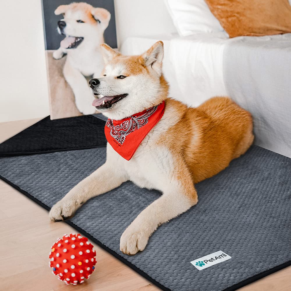 PetAmi Waterproof Dog Blanket, Leakproof XL Pet Blanket for Large Dogs, Furniture Sofa Couch Cover Protector, Fleece Cat Throw B