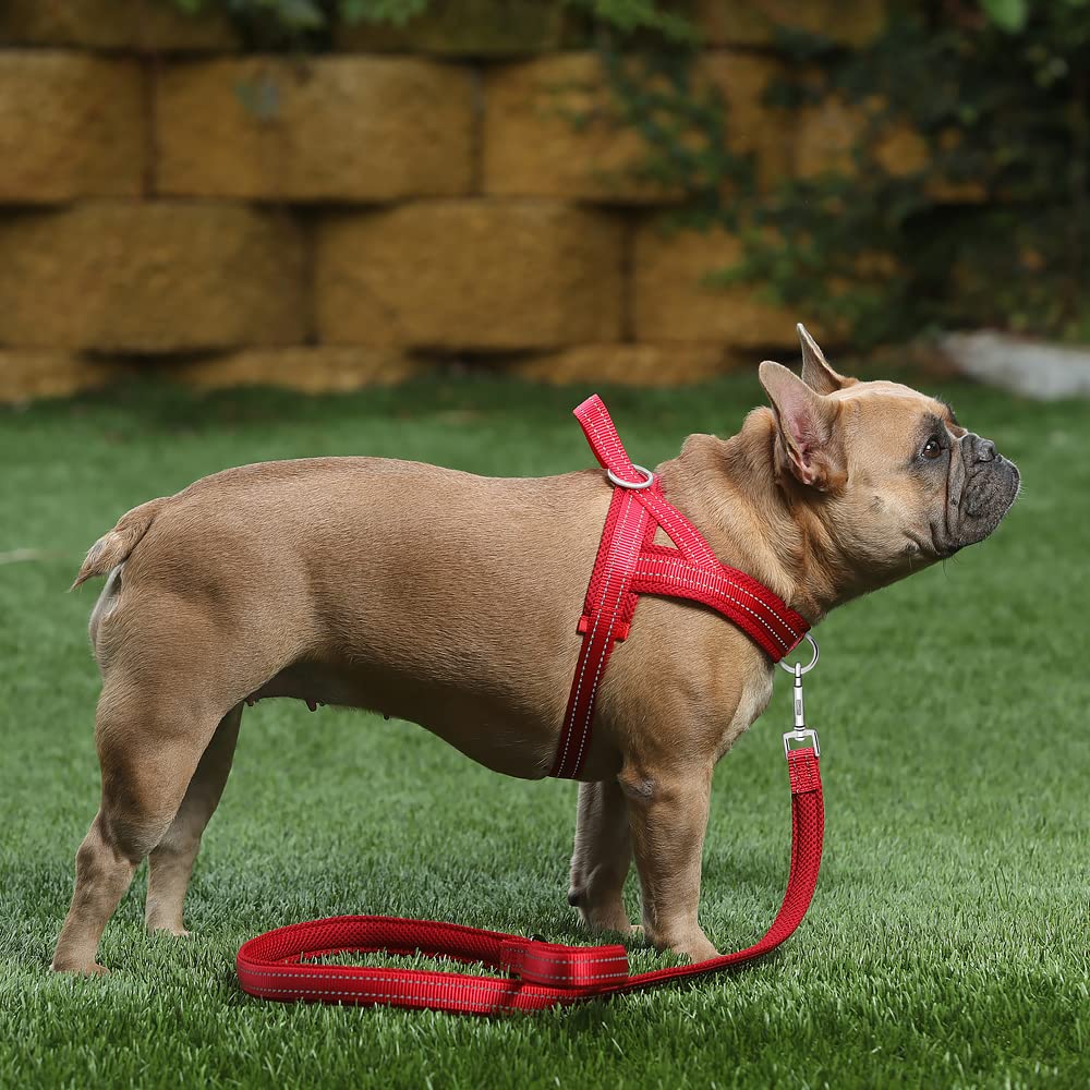 Plutus Pet No Pull Dog Harness With Breathable Mesh Padded, Adjustable Reflective Escape Proof Dog Harness, Quick Fit Dog Vest Harness For Small Medium Large Dogs(M, Red)