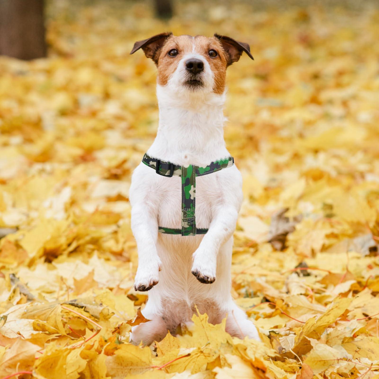 Pupteck No Pull Dog Harness Soft Adjustable Basic Nylon Step In Puppy Vest Outdoor Walking With Id Tag, Camouflage, M