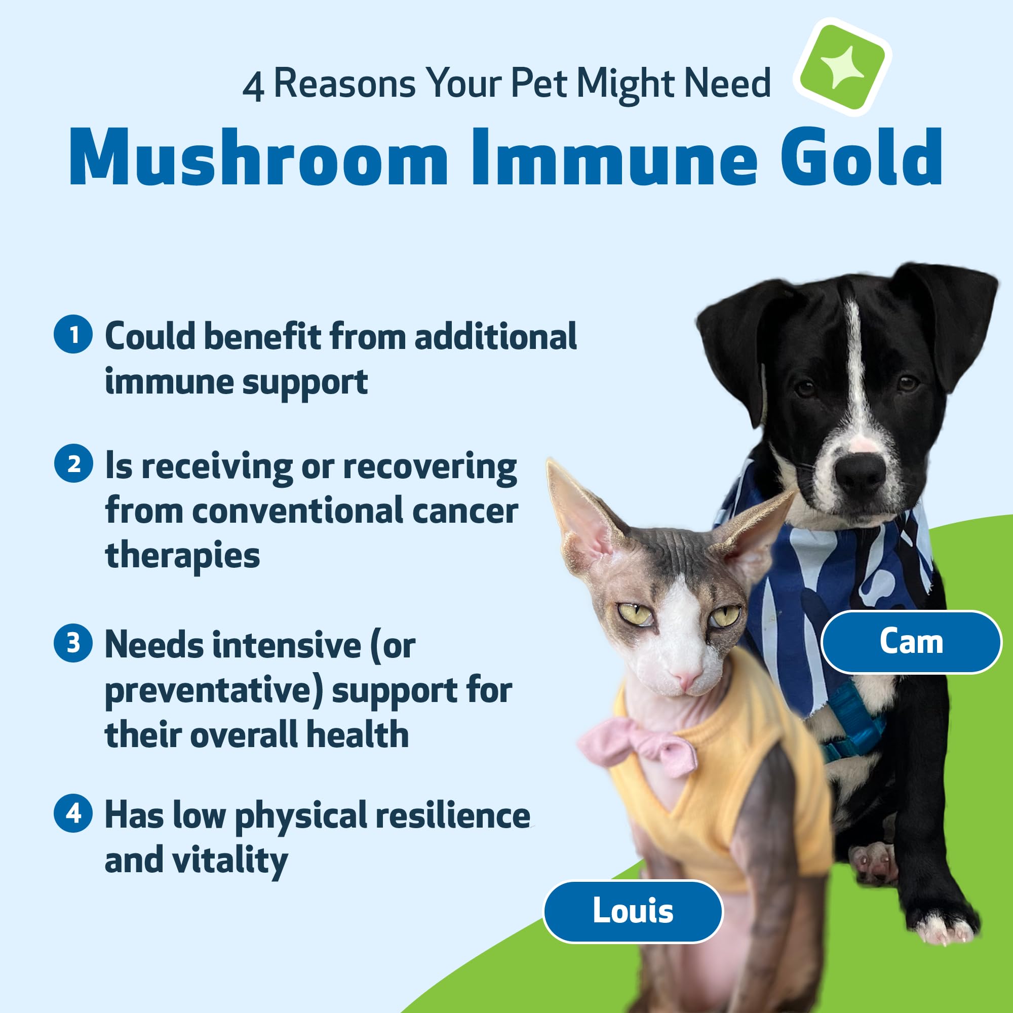 Pet Wellbeing - Mushroom Immune Gold - Natural Alternative Immune Support for Dogs and Cats - 8oz (237ml).