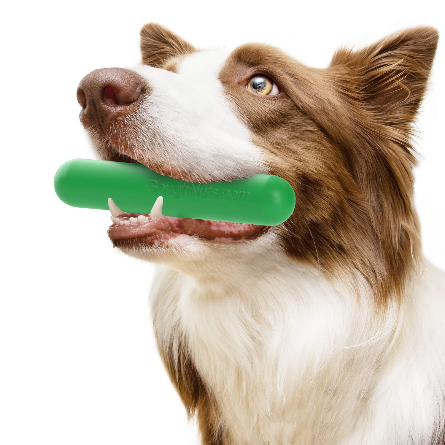 Goughnuts Durable Dog Chew Toy And Training Stick - Lifetime Replacement Guarantee - For Aggressive Power Chewers Like Pitbulls, German Shepherds, Nearly Indestructible For Small Breeds - Small