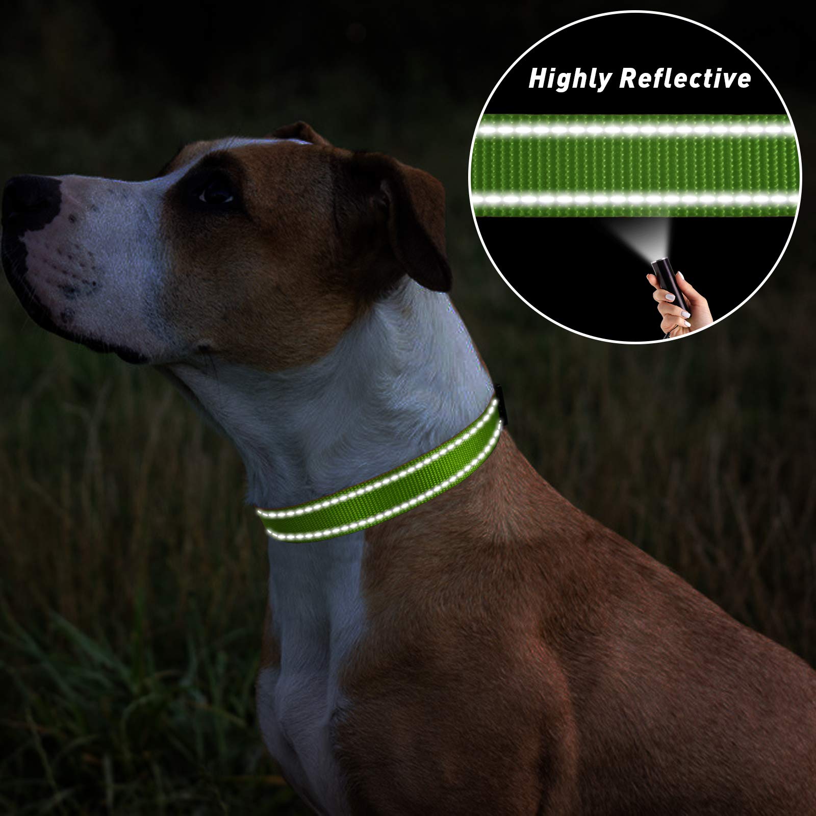 Tagme Reflective Nylon Dog Collars, Adjustable Classic Dog Collar With Quick Release Buckle For Small Dogs, Green, 5/8' Width