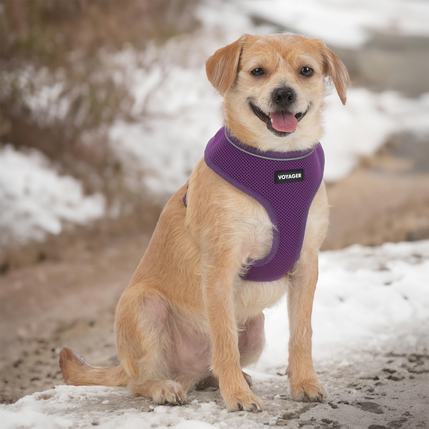 Voyager Aerolite No Pull Mesh Dog Harness With Lightweight, Soft, Breathable, Reflective Stitching, And Adjustable Straps For Walking, Running, Training, Heavy Duty And Durable - Purple, L