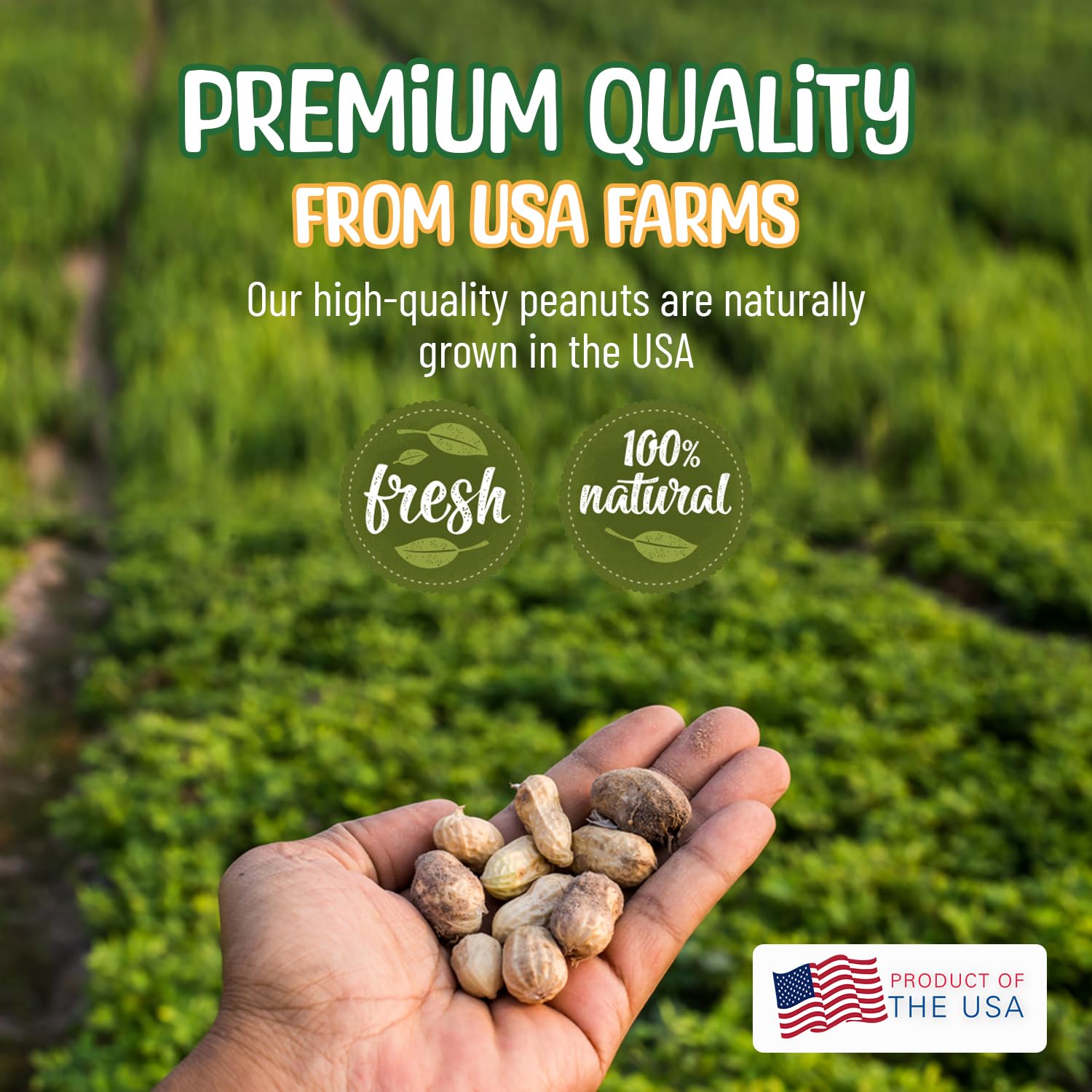 Premium Quality Raw Peanuts in Shell - 5 Pounds - All-Natural Food for Squirrels, Deer, Birds, and Other Wildlife Animals - Grow