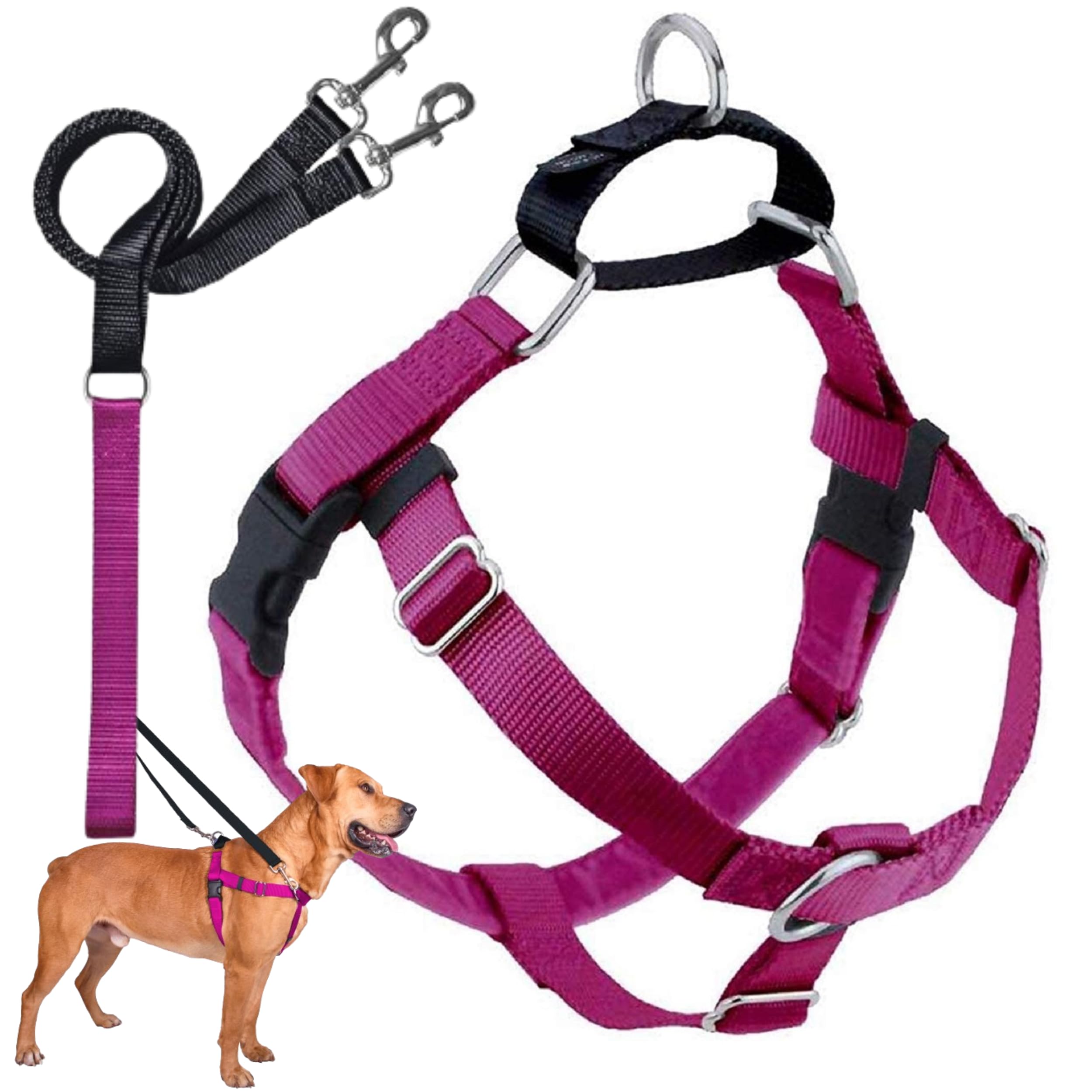 2 Hounds Design Freedom No Pull Dog Harness, Adjustable Harness And Leash Set, Easy Walking & Comfortable Control, Fits Small, Medium & Large Dogs, Solid Colors, Made In Usa, 1' Xxl, Raspberry