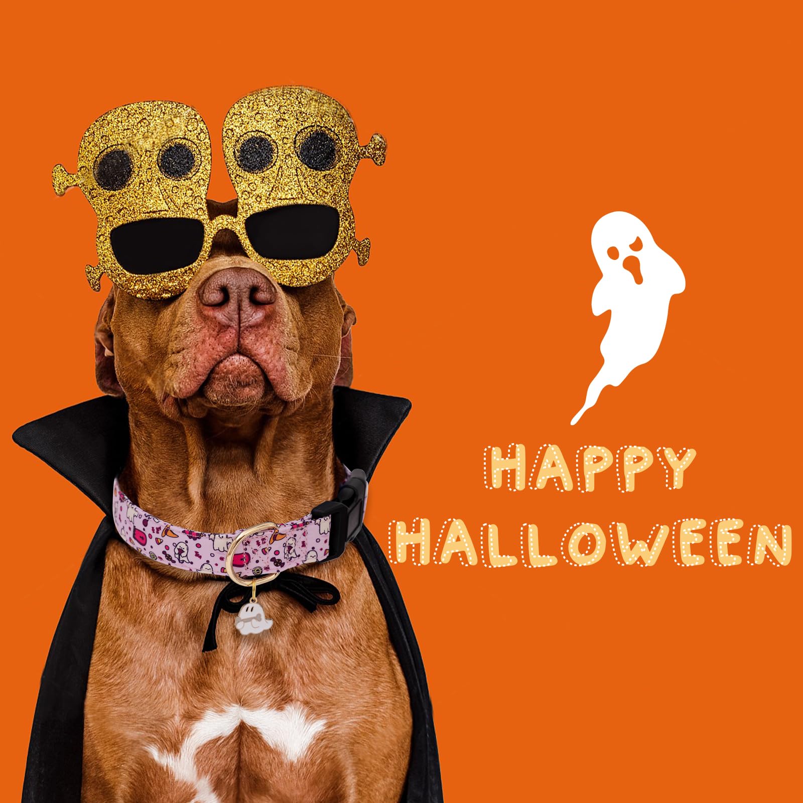 Faygarsle Fall Dog Collar Adorable Ghost Pattern Halloween Collar For Dogs Autumn Collar For Small Medium Large Female And Male Dogs Cute Neckwear For Dogs Purple Collar For Boy Girl Dogs Xs